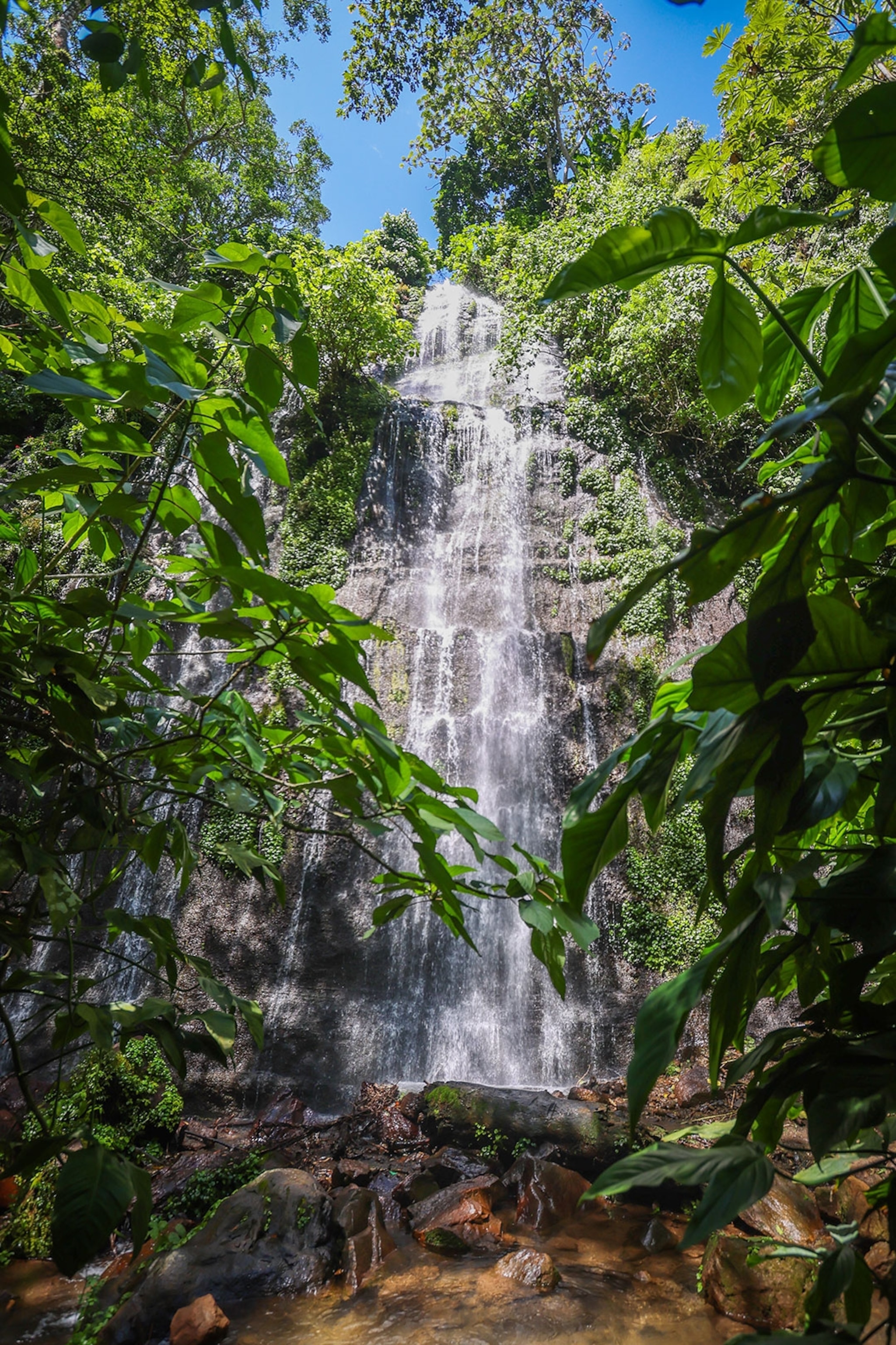 A waterfall surrounded by green forest in Juayua, El Salvador.