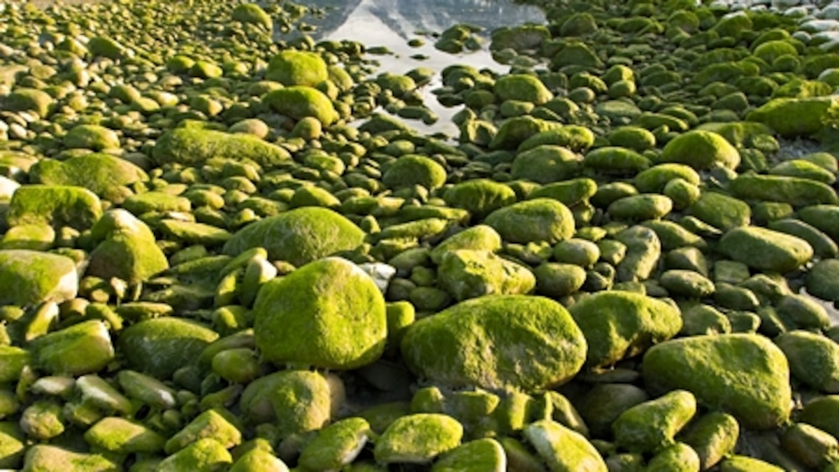 Float the Tatshenshini-Alsek River, Alaska, Best American Adventures ...