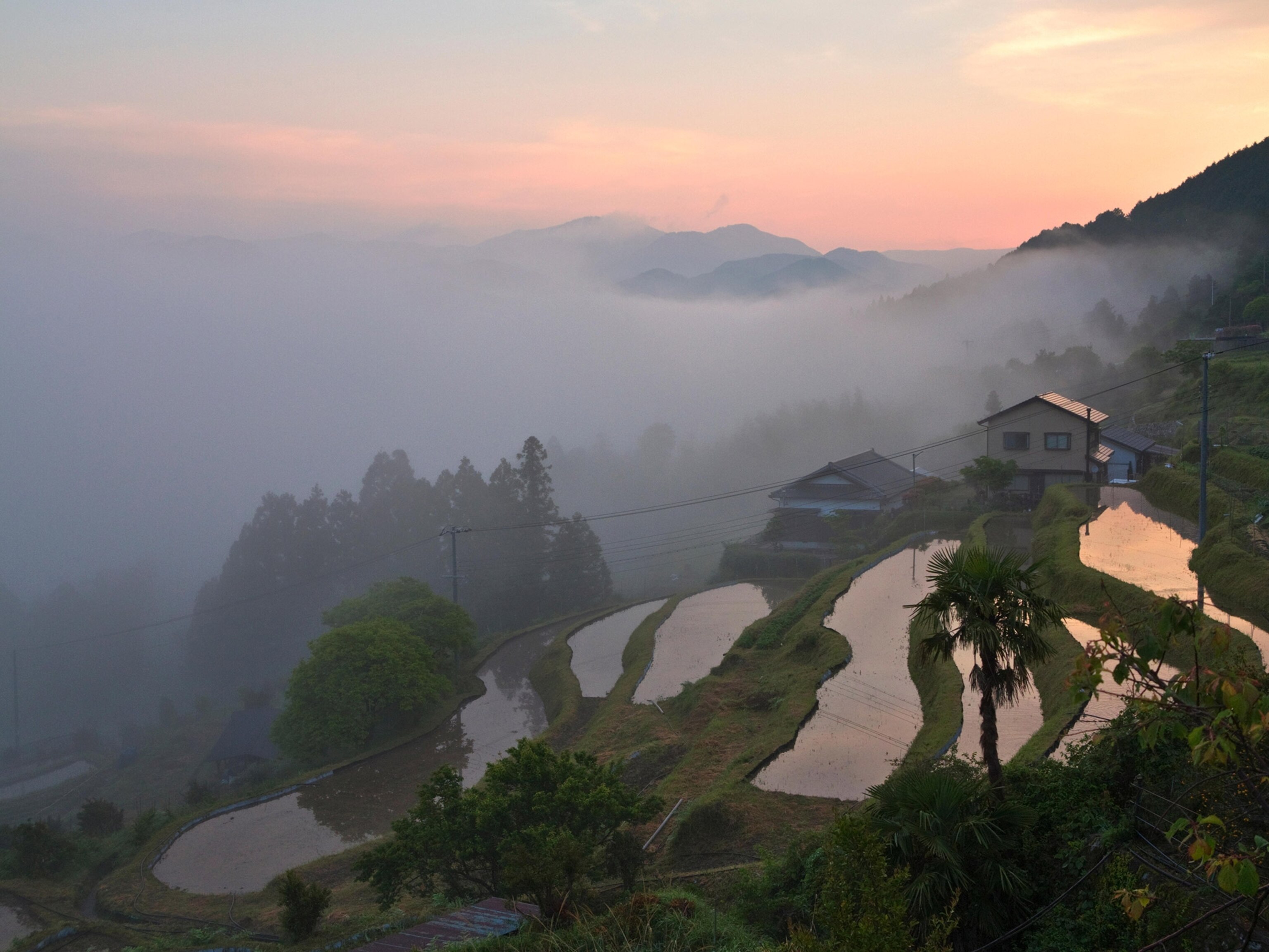 a foggy morning at Takahara in the Kii Mountain Range in Japan
