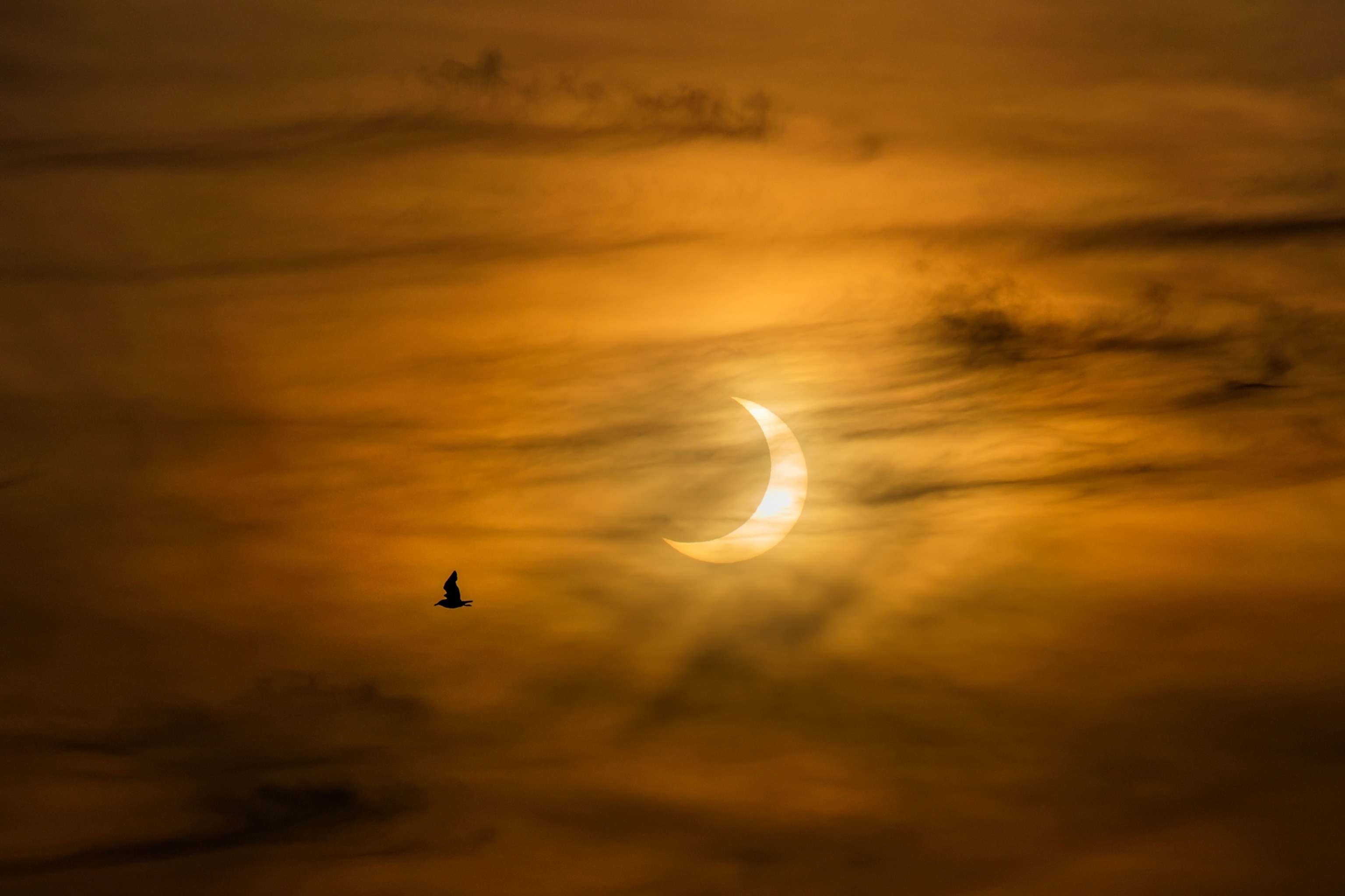 10 night sky events to see in September, from a blood moon eclipse to a  prime view of the Milky Way | National Geographic