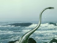 Nepenthes Lowii Alchetron The Free Social Encyclopedia