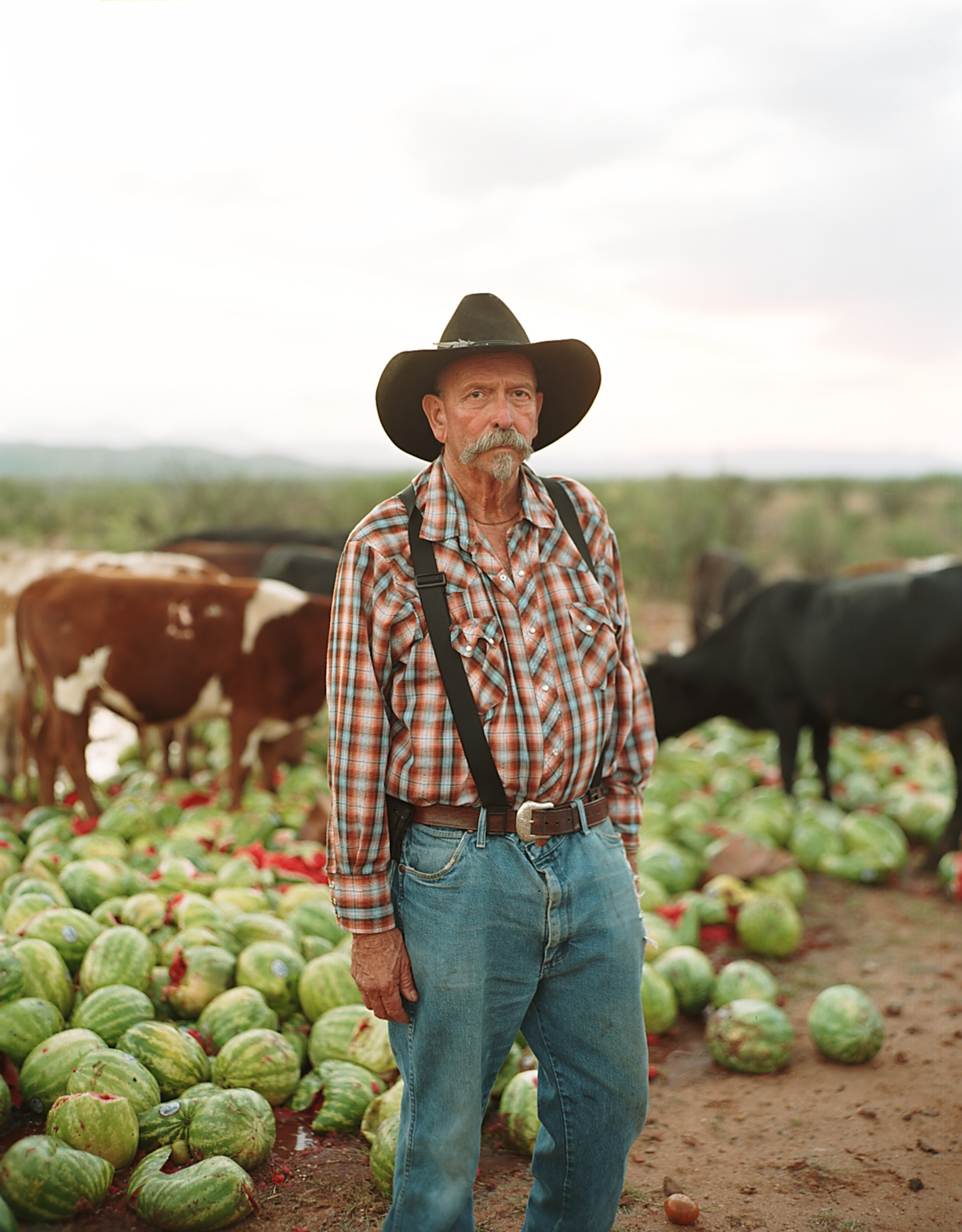 Francisco "Pancho" Martinez feeds his cattle melons unfit for human consumption at his ranch outside Nogales, Arizona. The food waste was gathered from Borderlands Food Bank. Photograph by Bryan Schutmaat