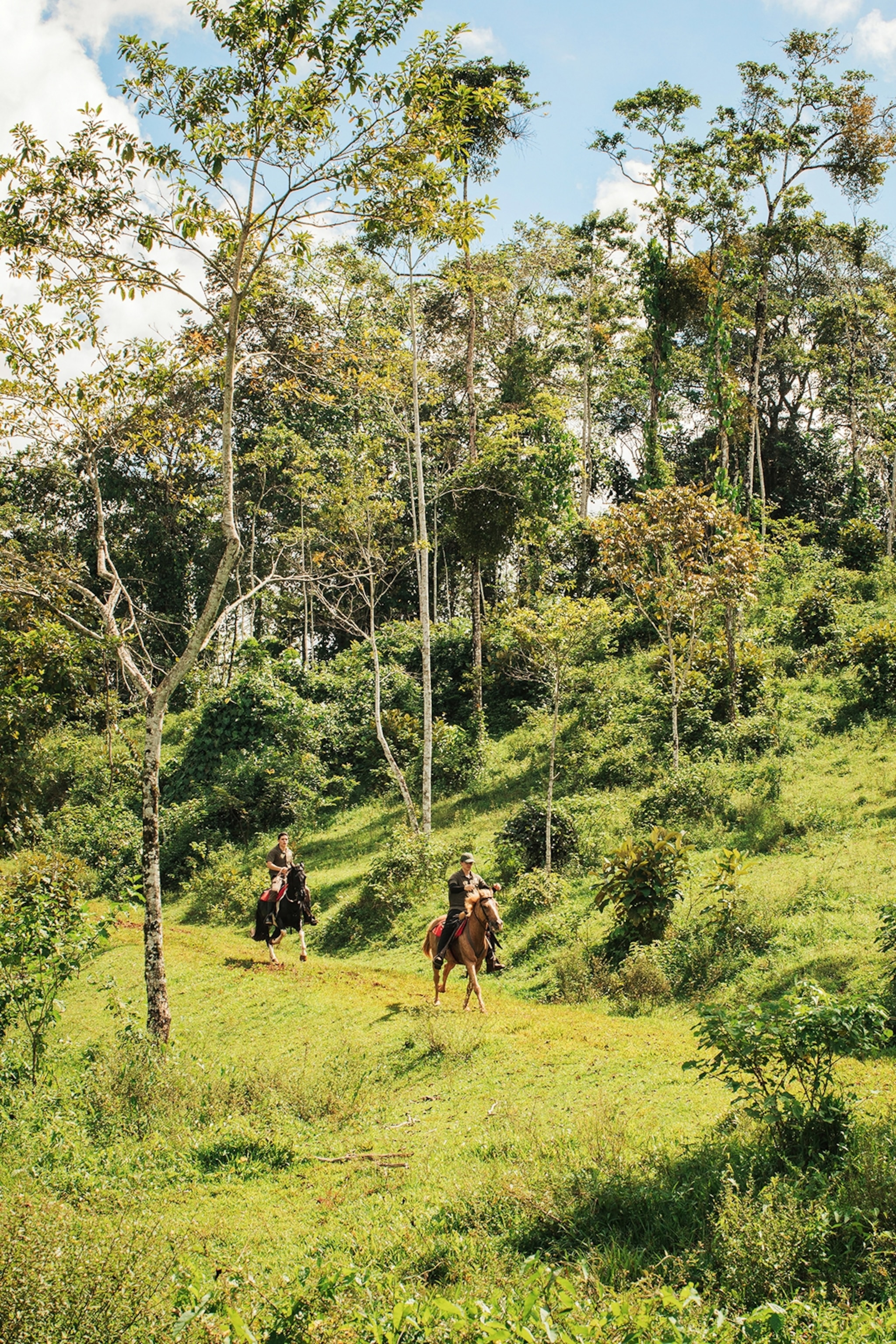 Two men riding on horses through a tropical forest.