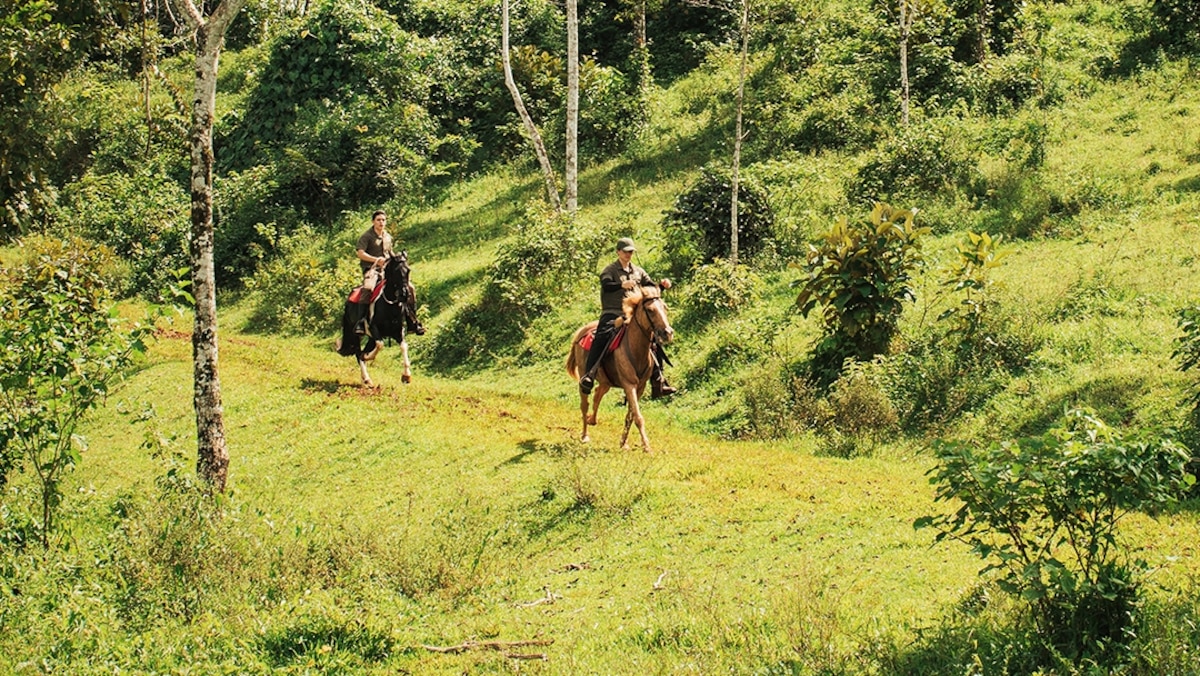 Explore Costa Rica's Arenal region on horseback