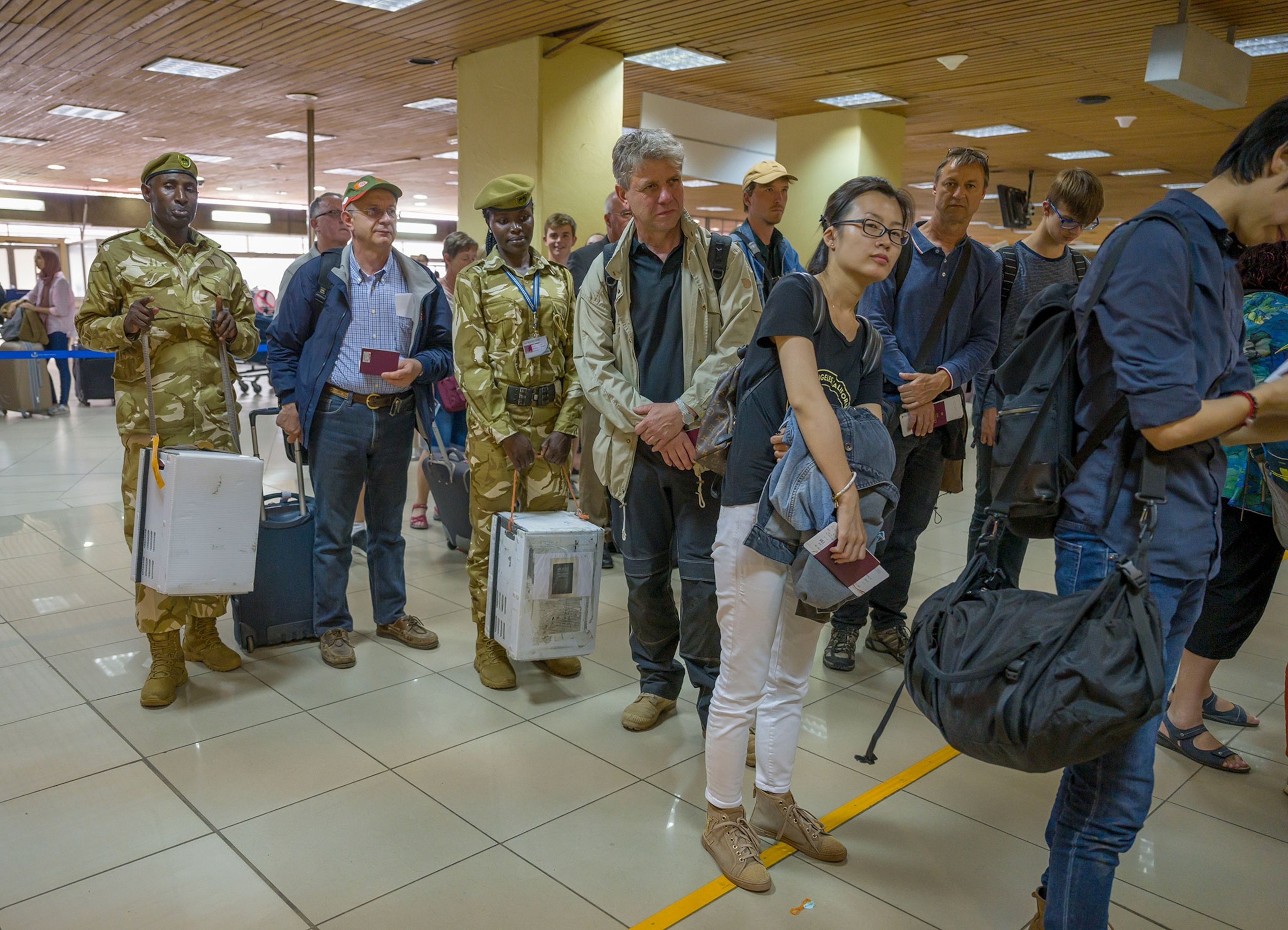 northern white rhino oocytes being transported through an airport