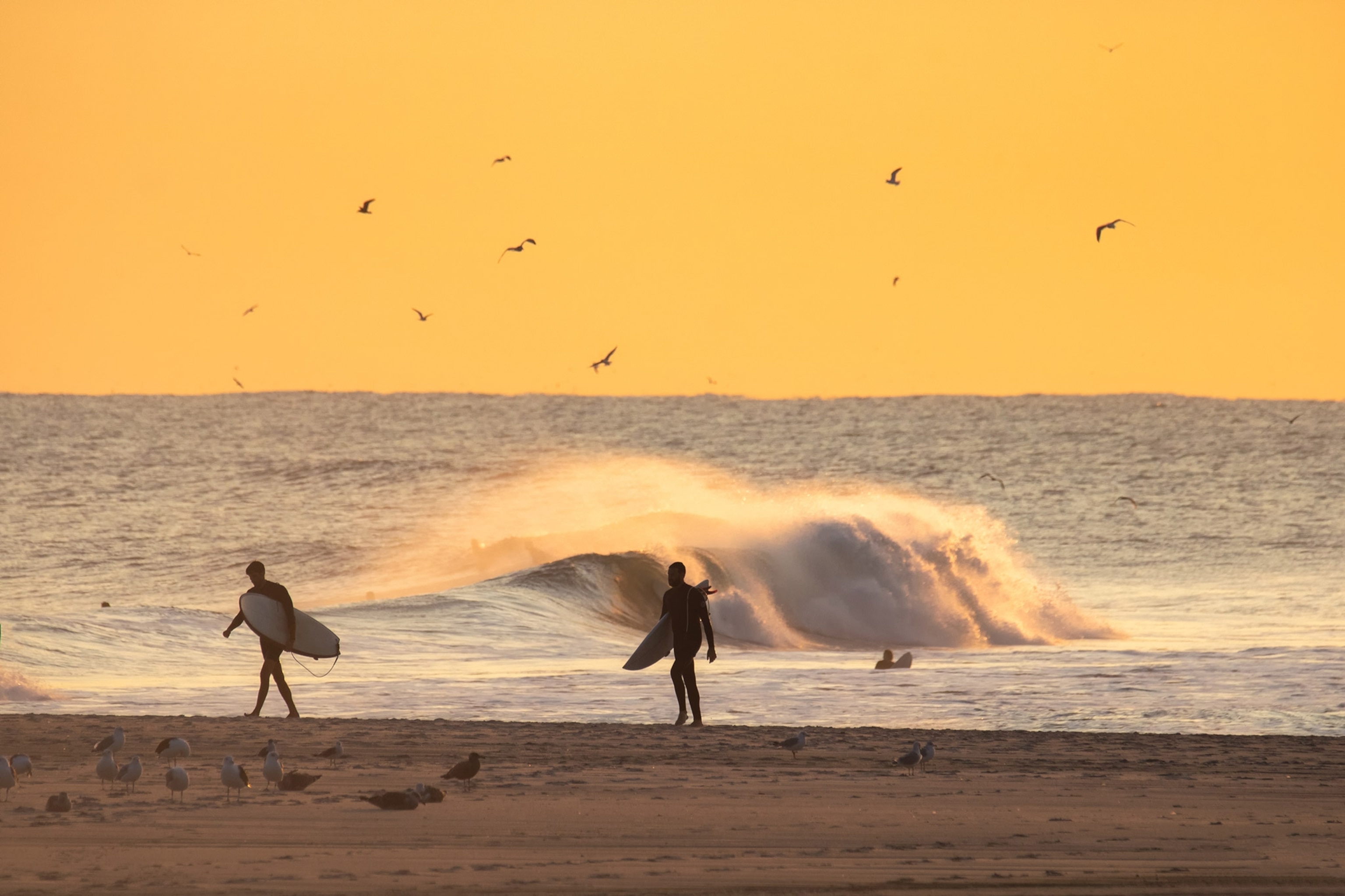 Golden hour on the beach, waves crash and birds circle behind two surfers walking with surfboards