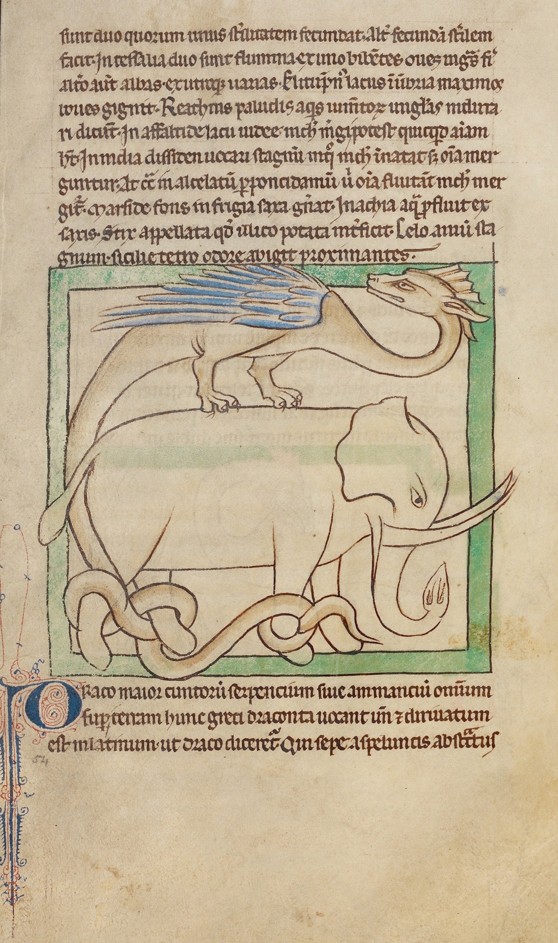 An elephant with a dragon on its back.