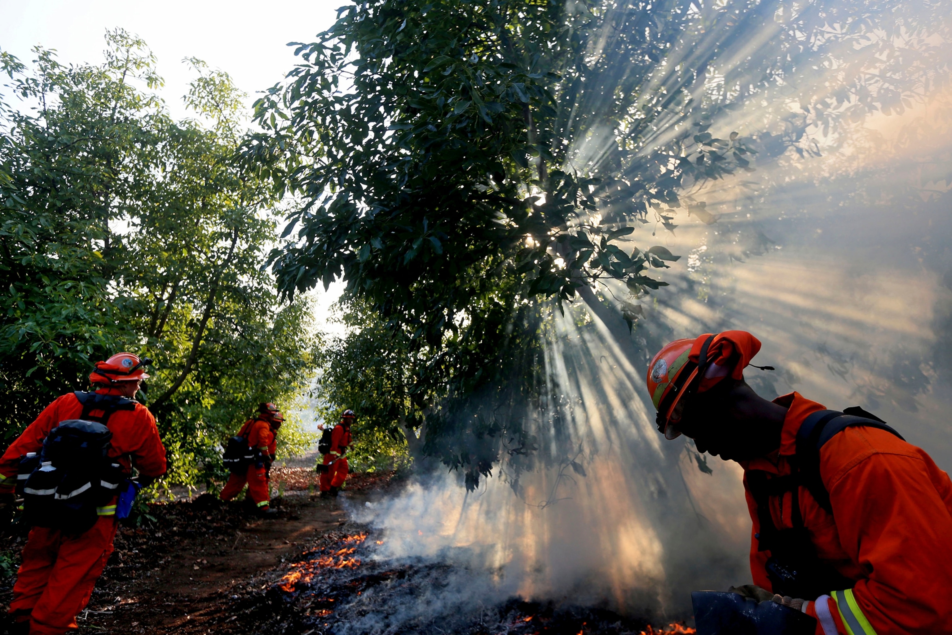 Wildfire climbs a canyon toward homes Wednesday, May 14, 2014, in Carlsbad, Calif.