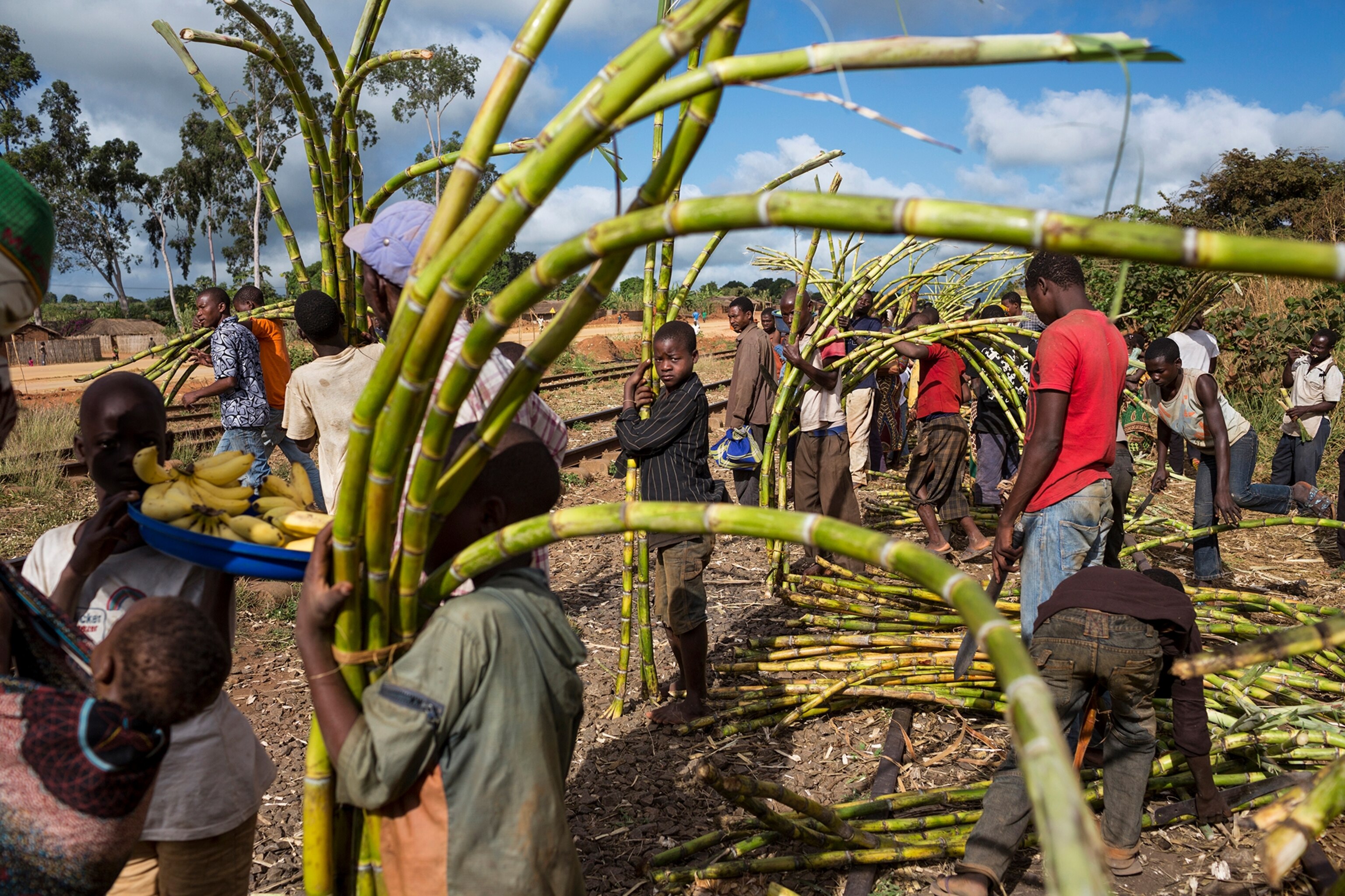 Sugar cane sellers gather at Namina station in anticipation of the passenger train from Nampula.