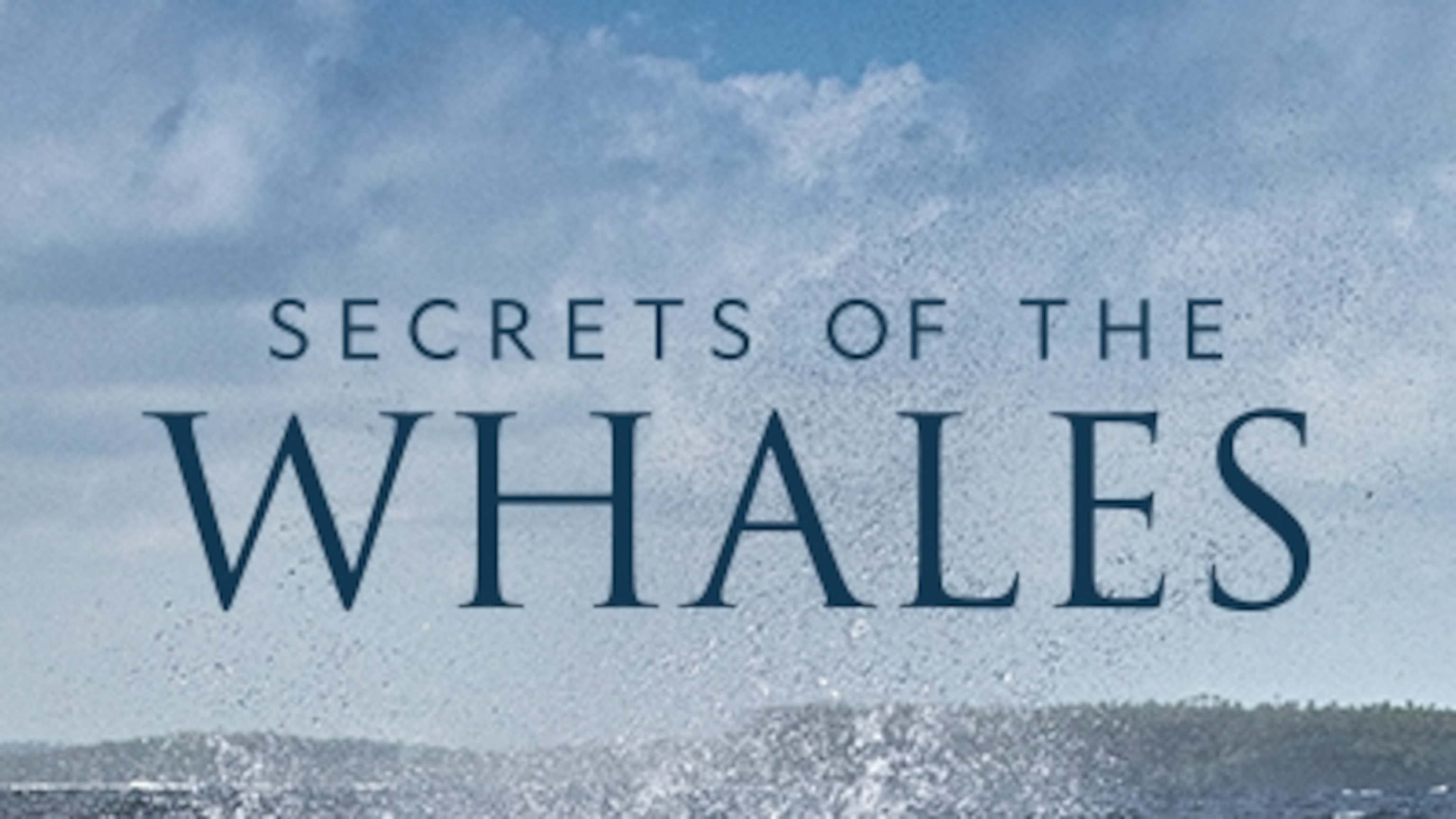 Secrets of the Whales