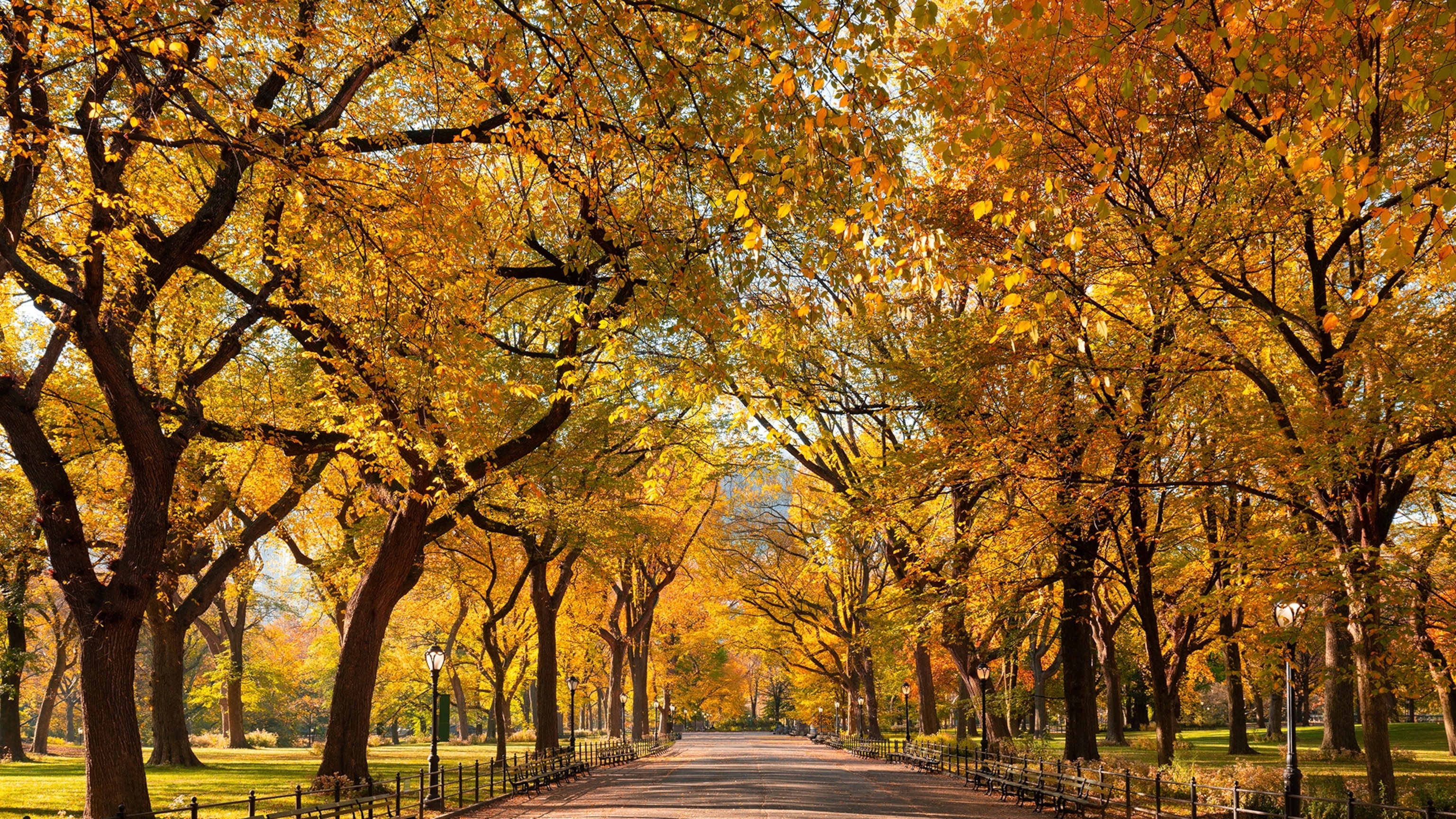 Where to Travel in the World in October