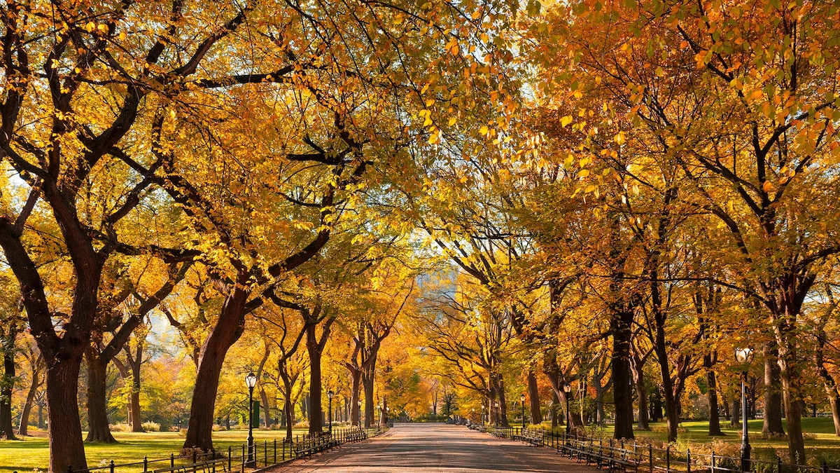 Where to Travel in the World in October