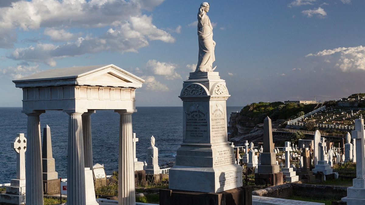 Can Dogs Smell Bodies In Cemeteries