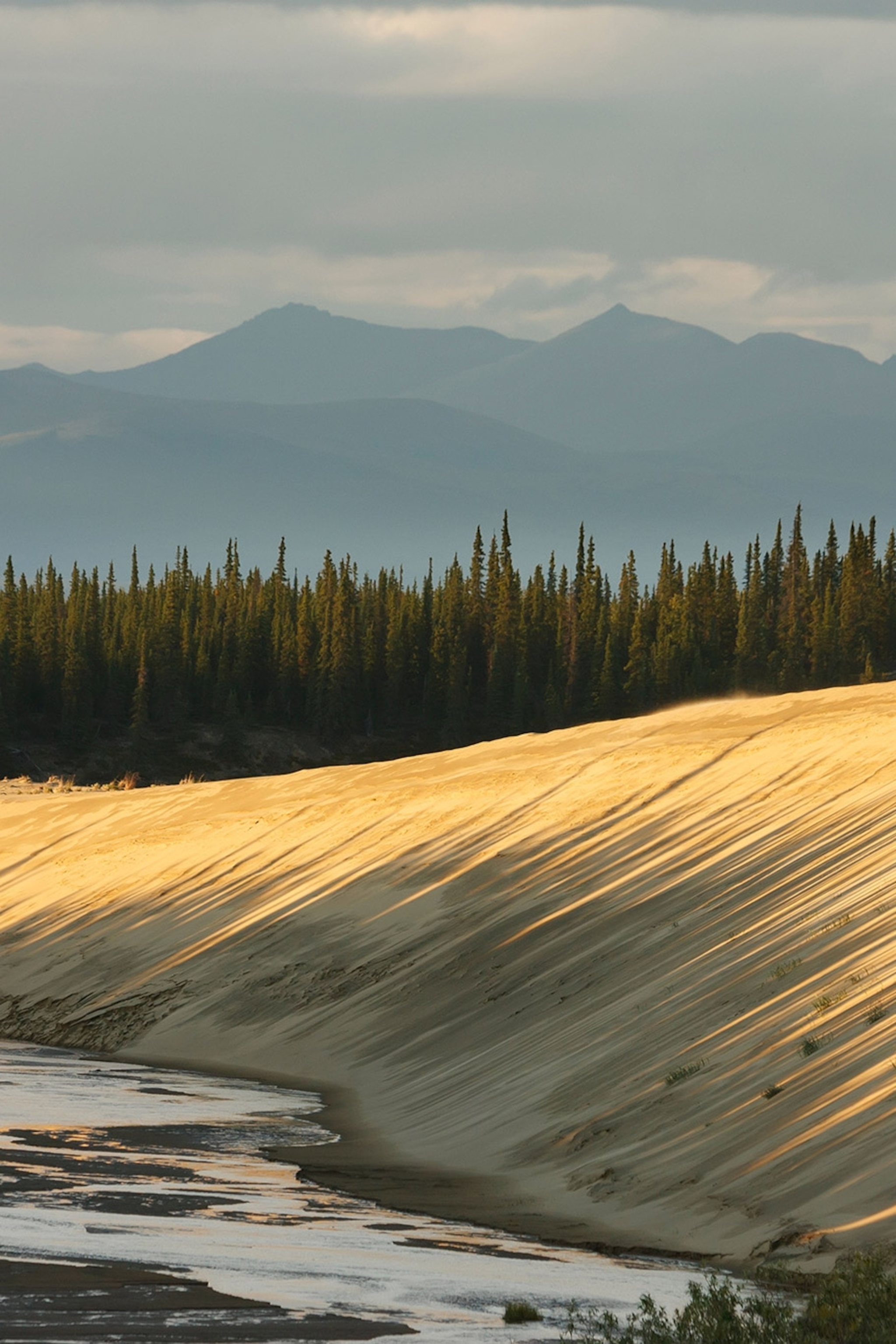 Thinking Of Going Camping This Summer Here S What You Need To Know