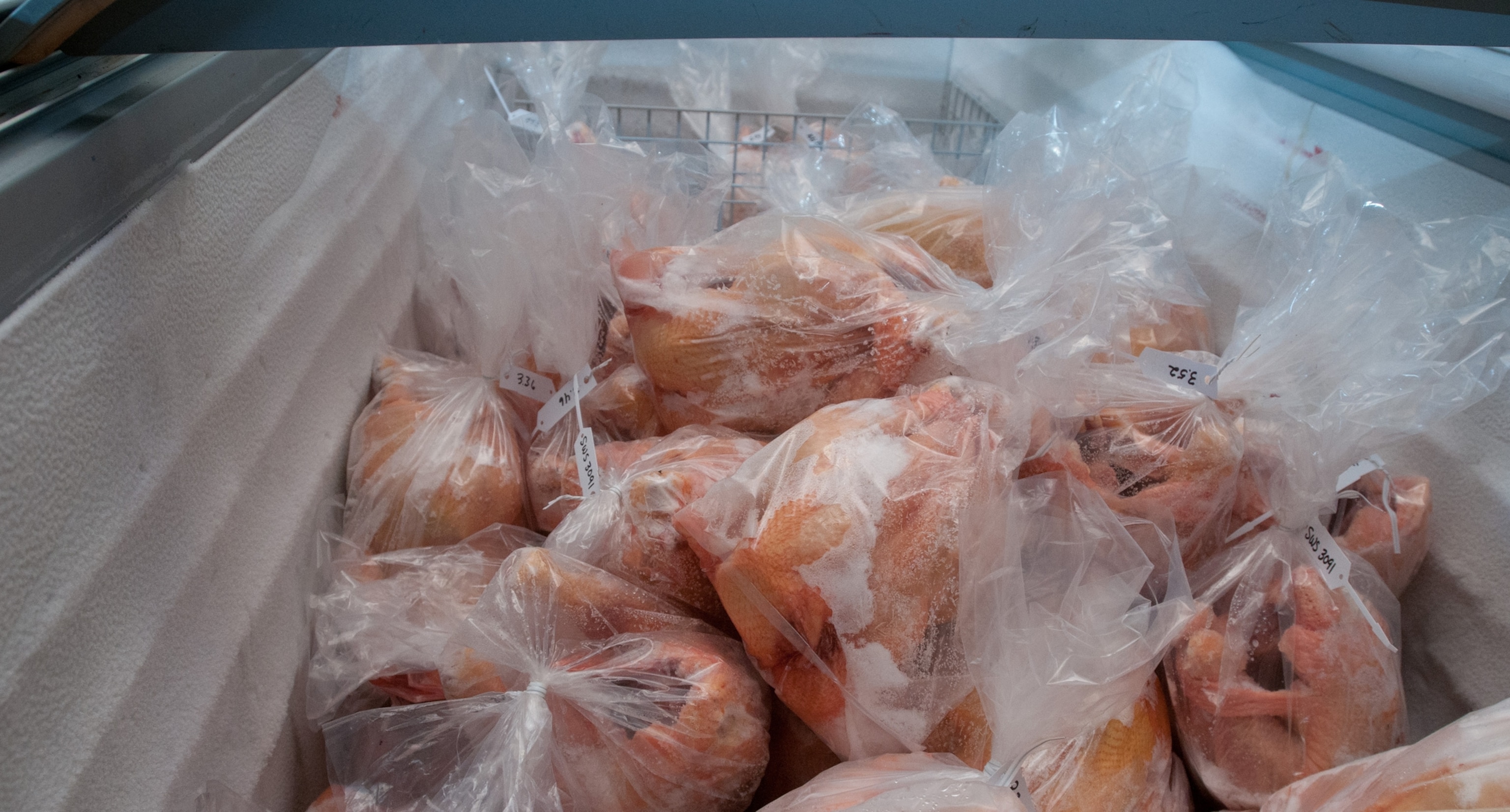 frozen chicken.