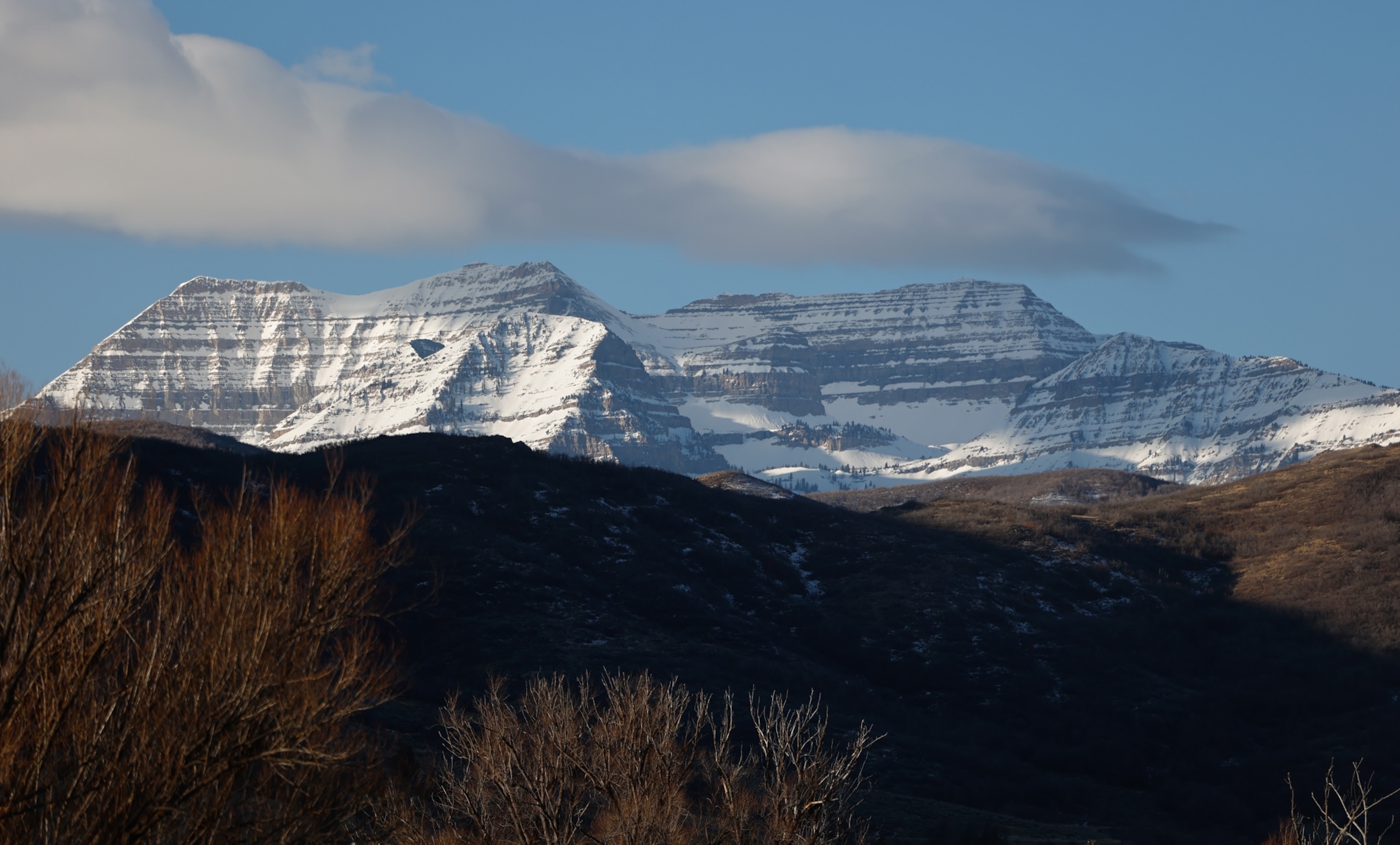 Snow-covered mountains under a clear blue sky with a few clouds, framed by bare trees in the foreground