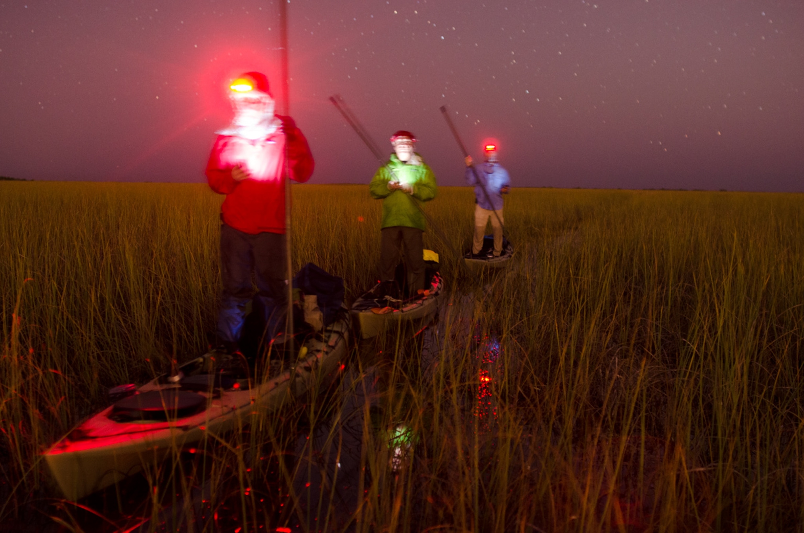 Shark River picture - part of the the Florida Wildlife Corridor Expedition