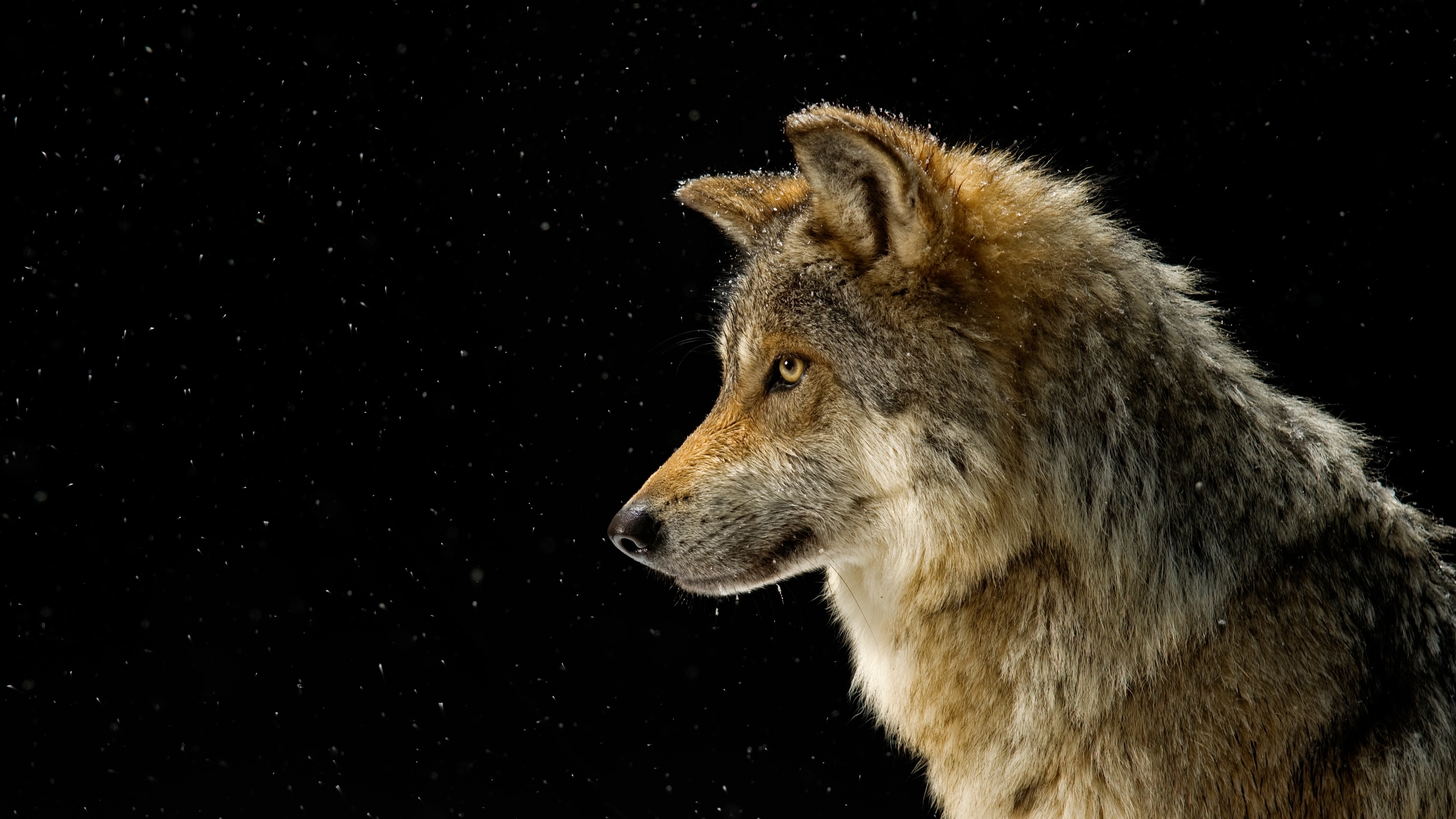 America’s stunning natural icons in pictures