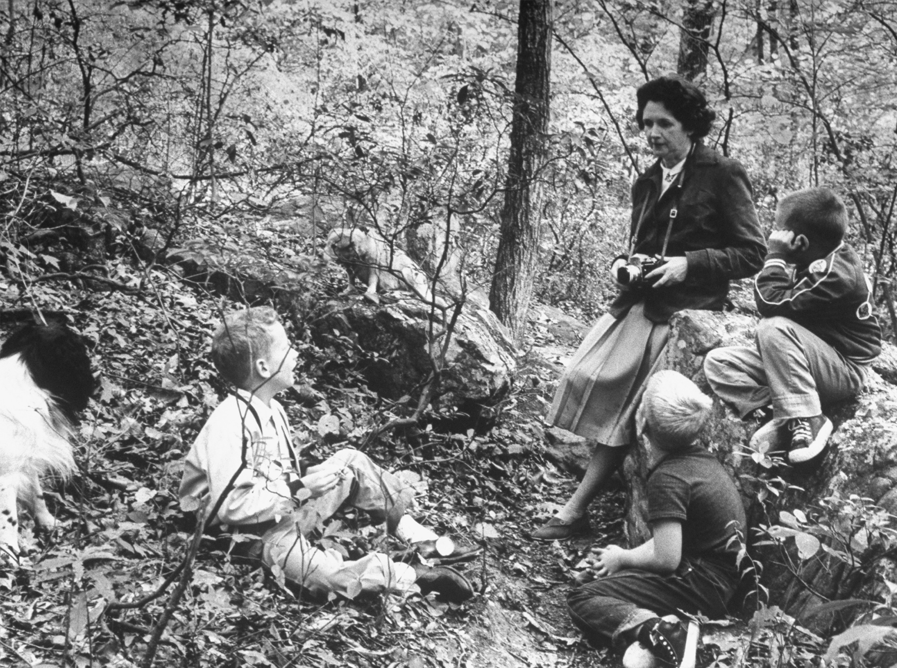 six images of a variety of female scientists.