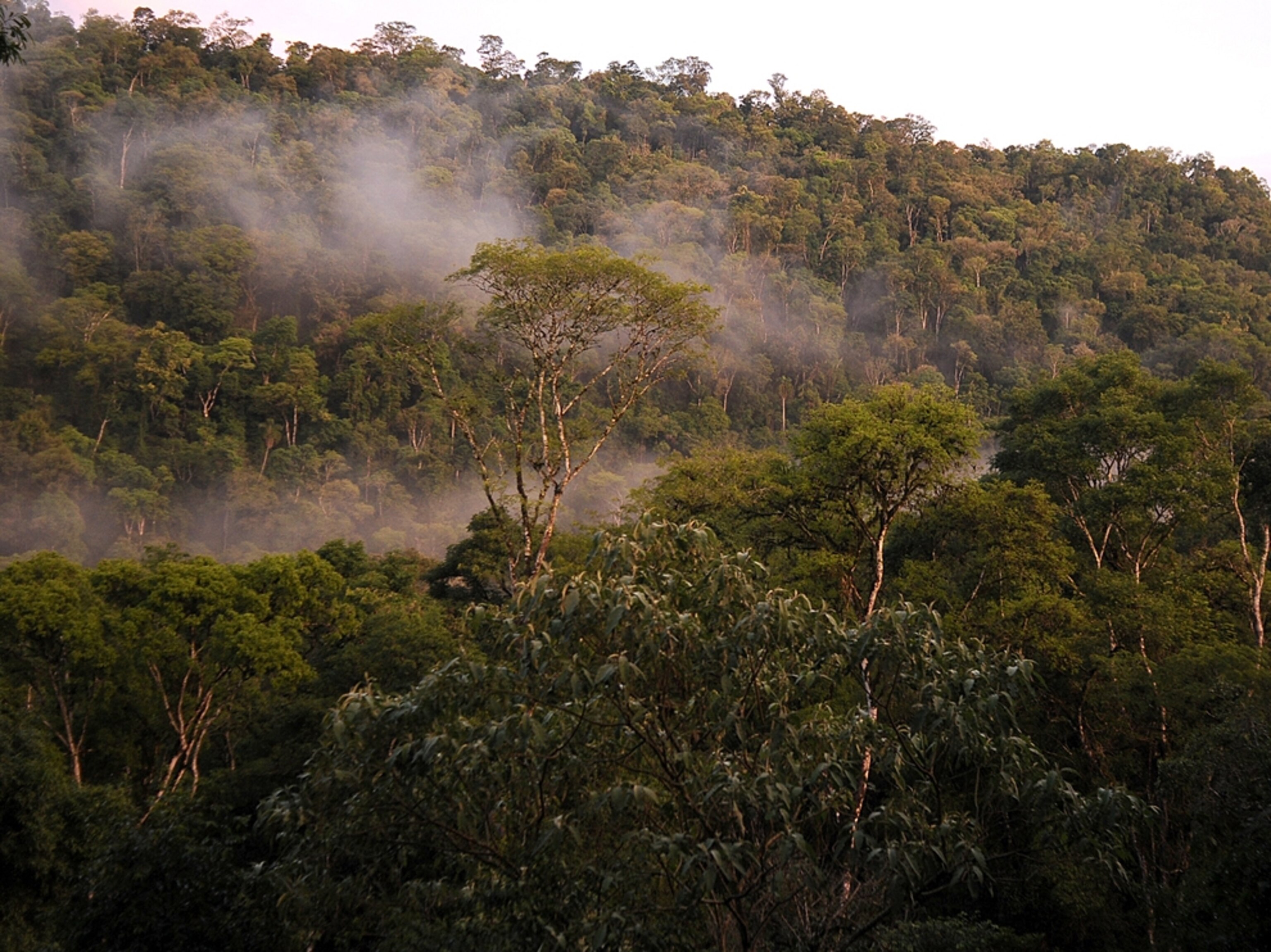 Don Enrique Lodge, Argentina