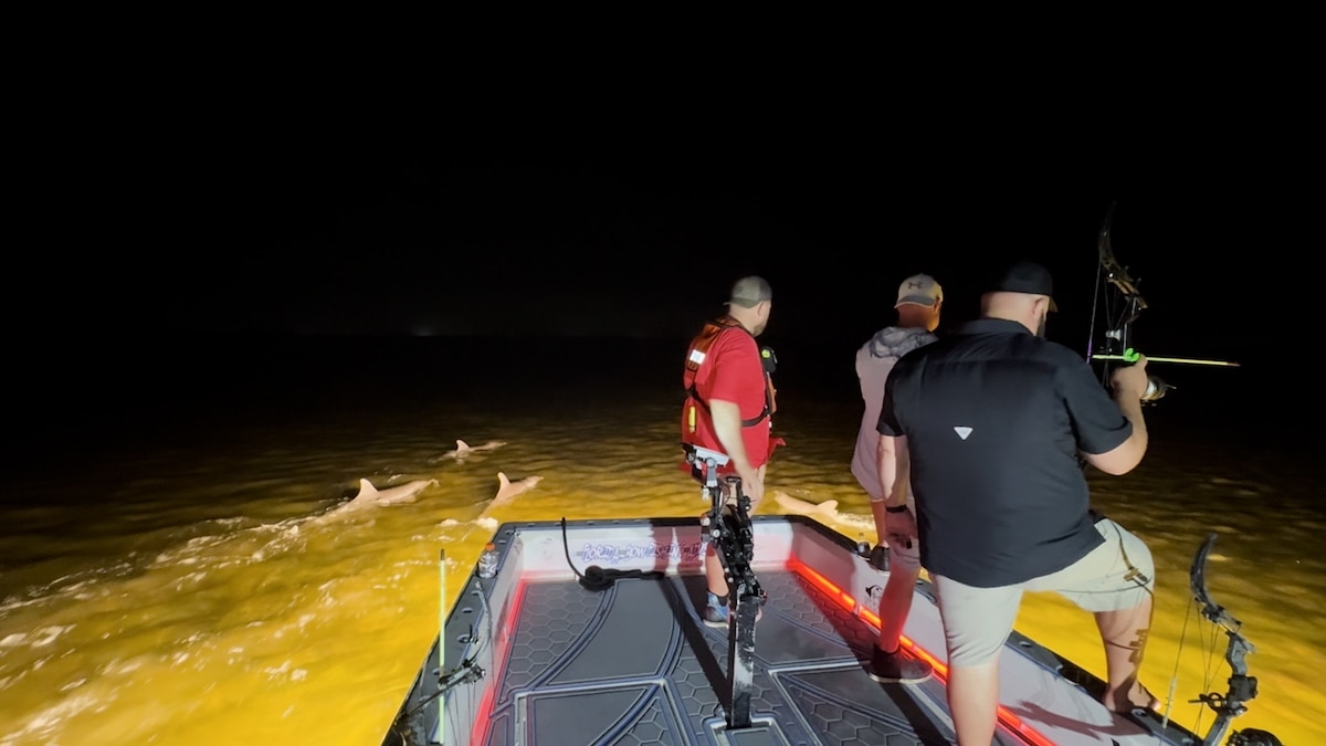 This Florida Angler Saw Dolphins as a Nuisance. Now They’re His Hunting Buddies.