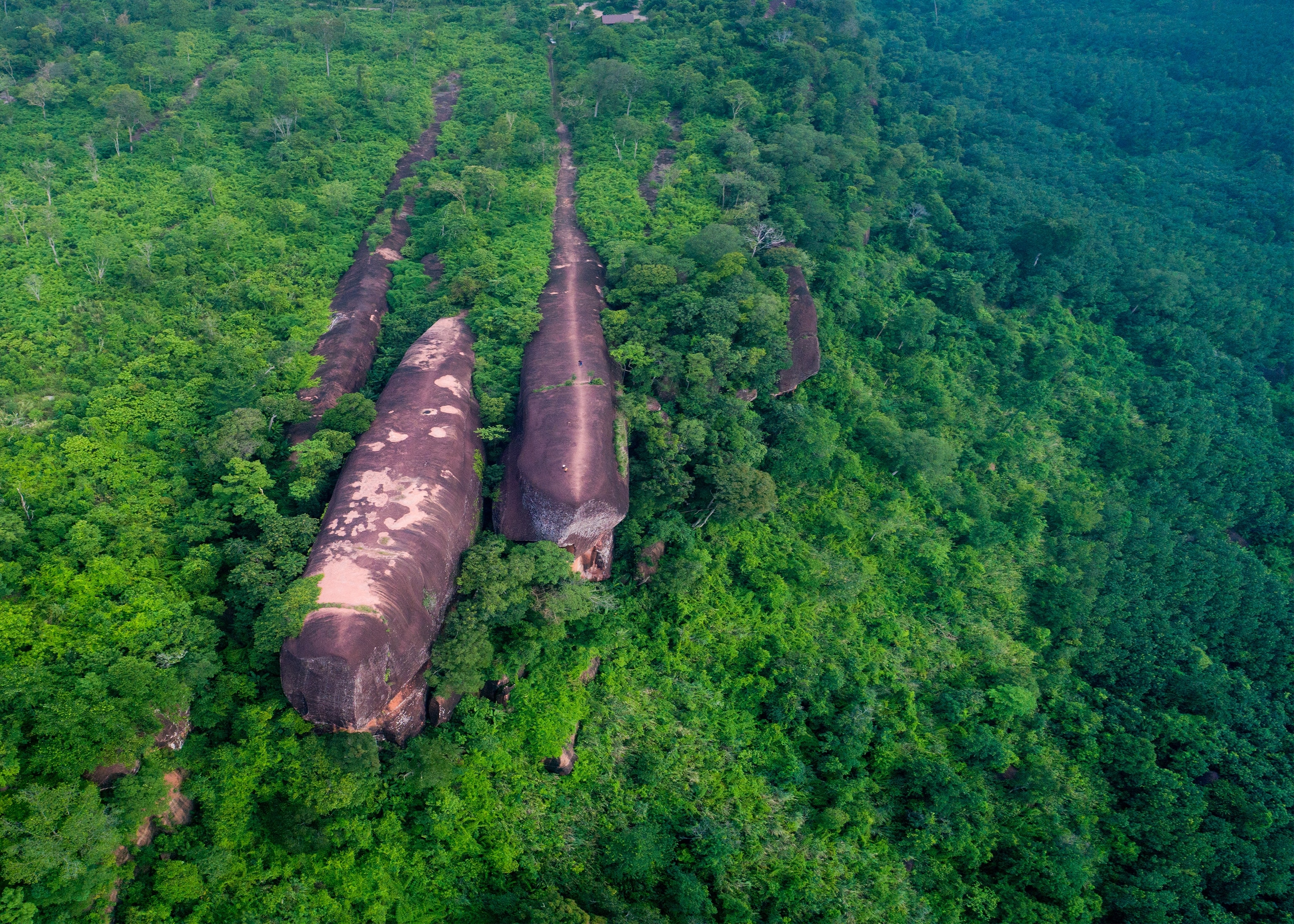 Hin Sam Wan, also known as Three Whale Rock