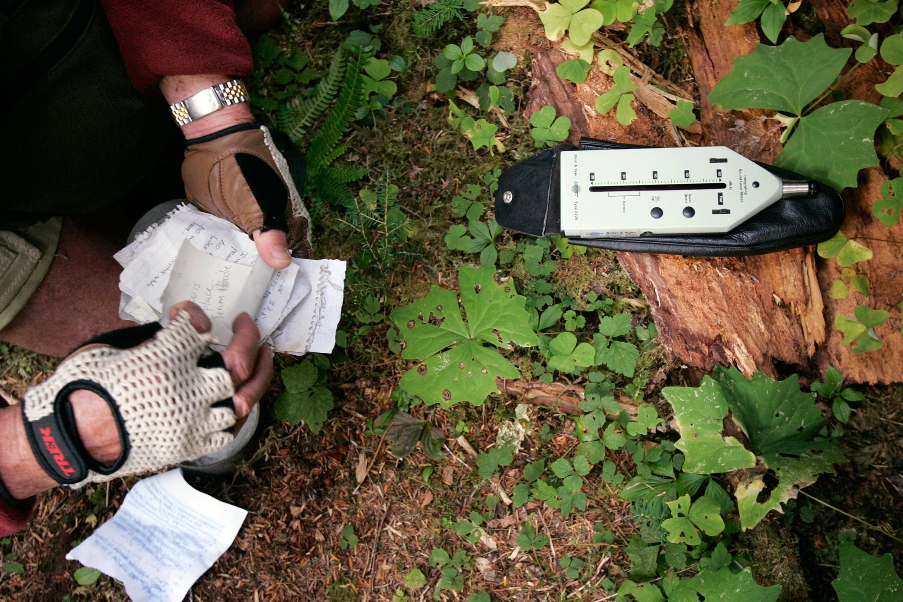 hands holding small papers in the forest