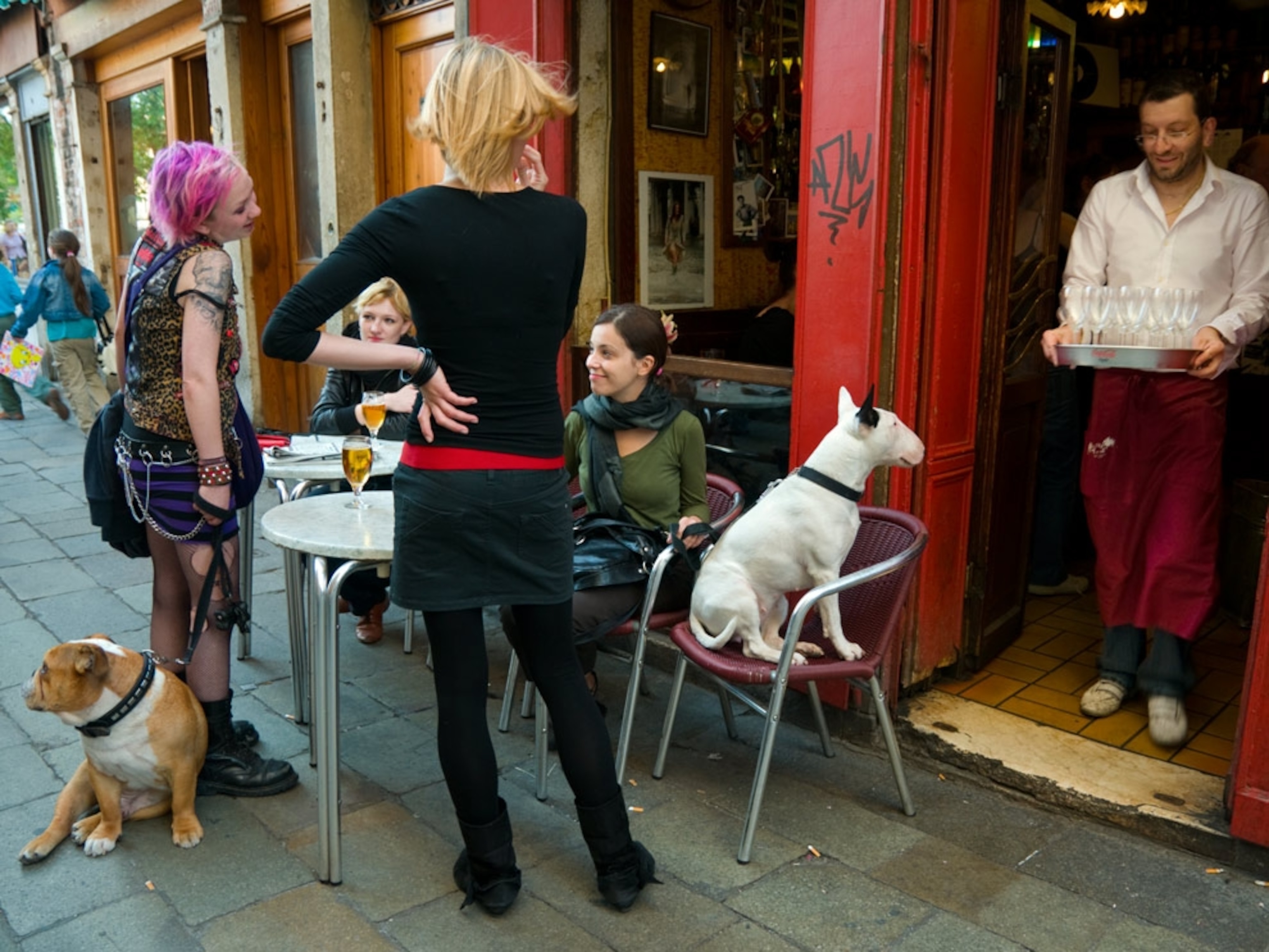 Women sitting at a café with their dogs
