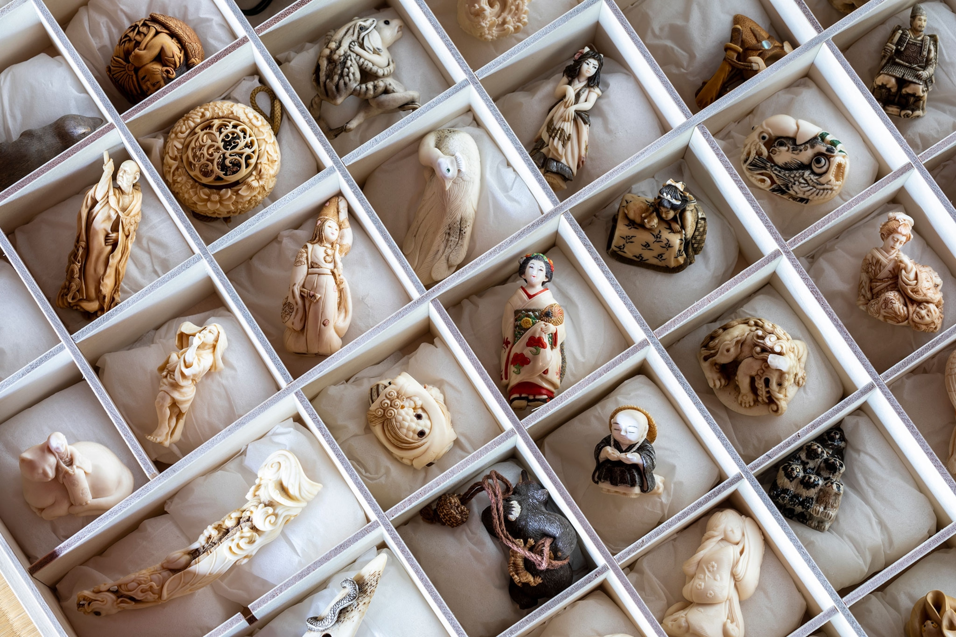 Wildlife souvenirs not to buy on vacation