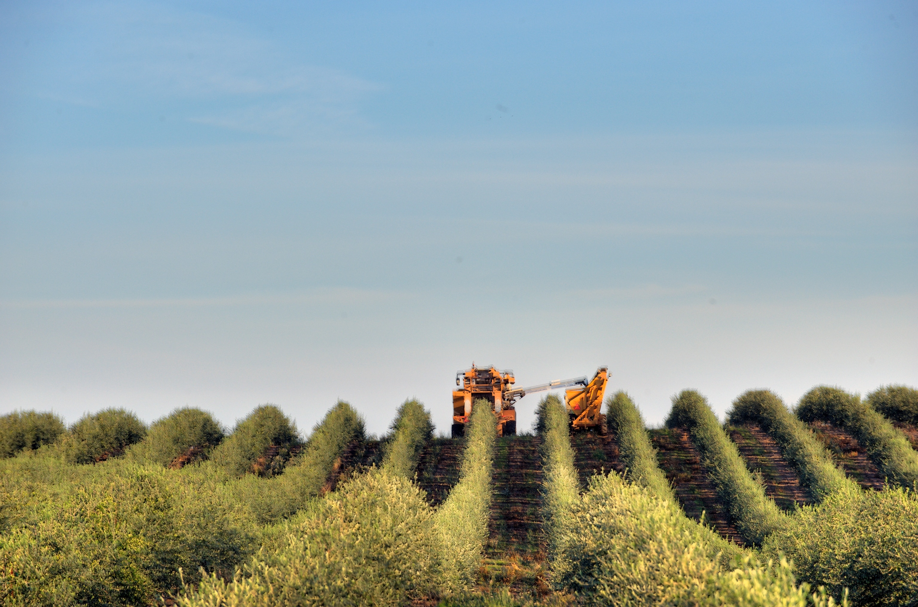 harvesting equipment