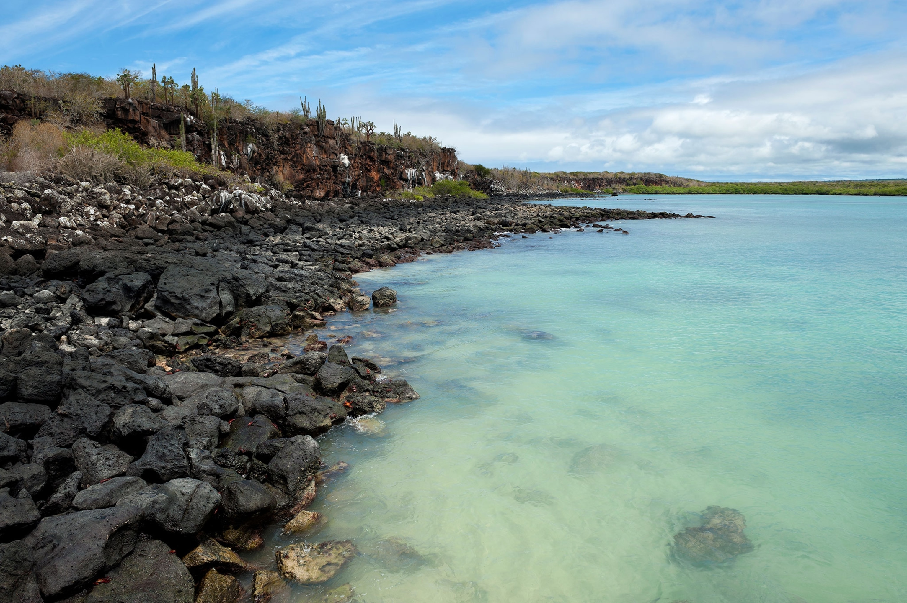the volcanic cliffs by Peurto Ayora in the Galapagos