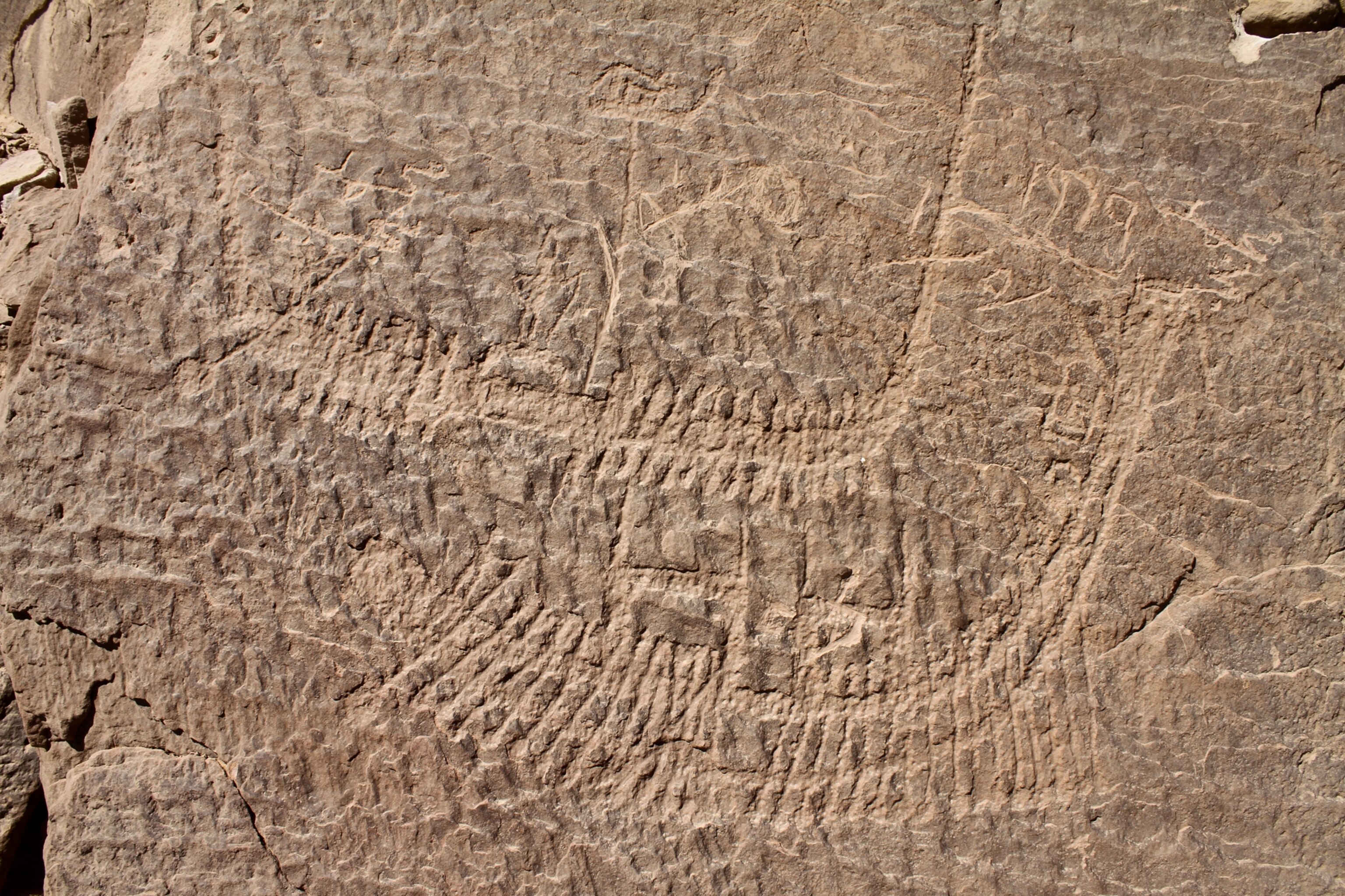Egyptian rock art picture - oarsmen on the royal boat