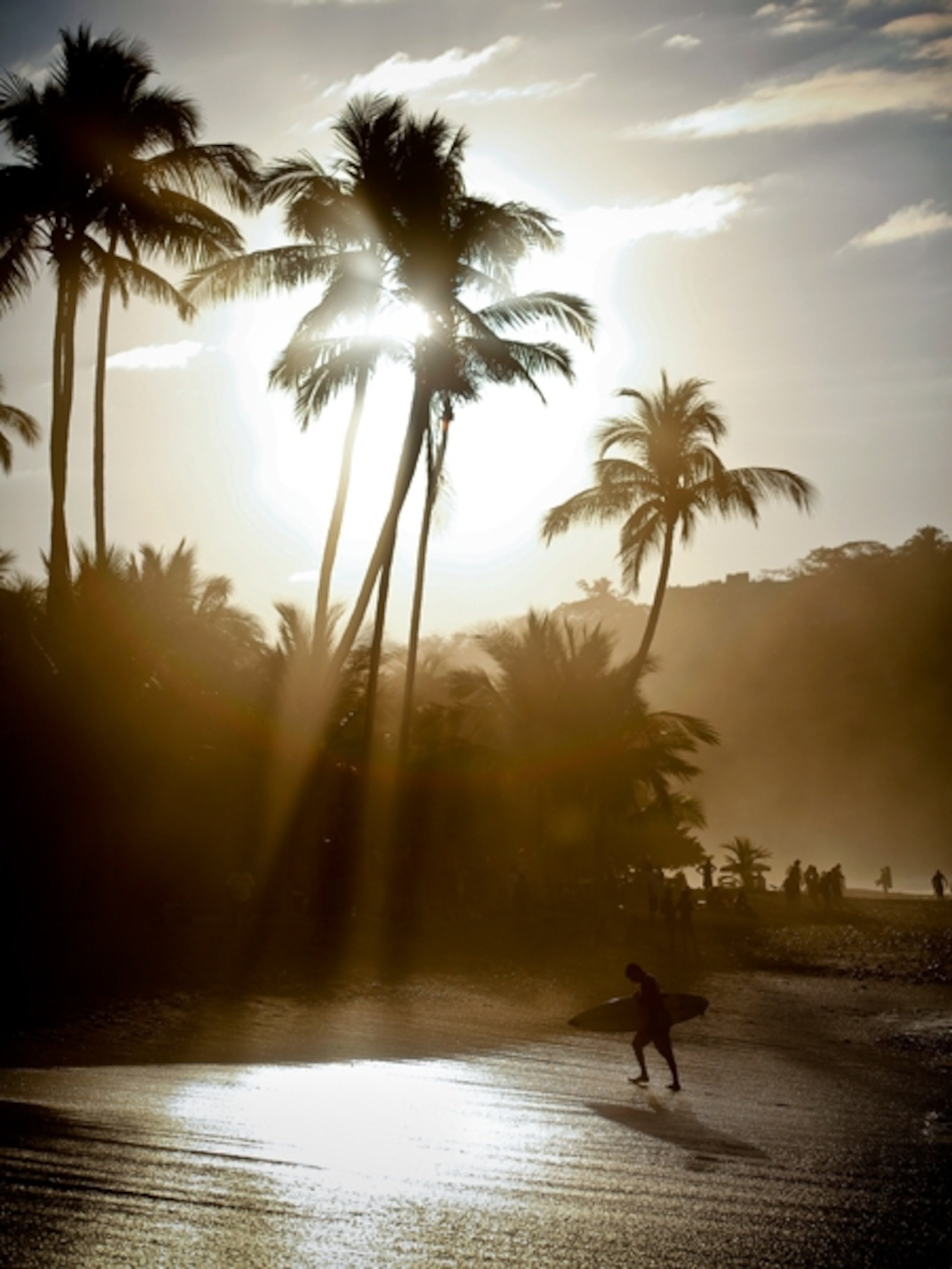 Surfer heading out of the water onto beach