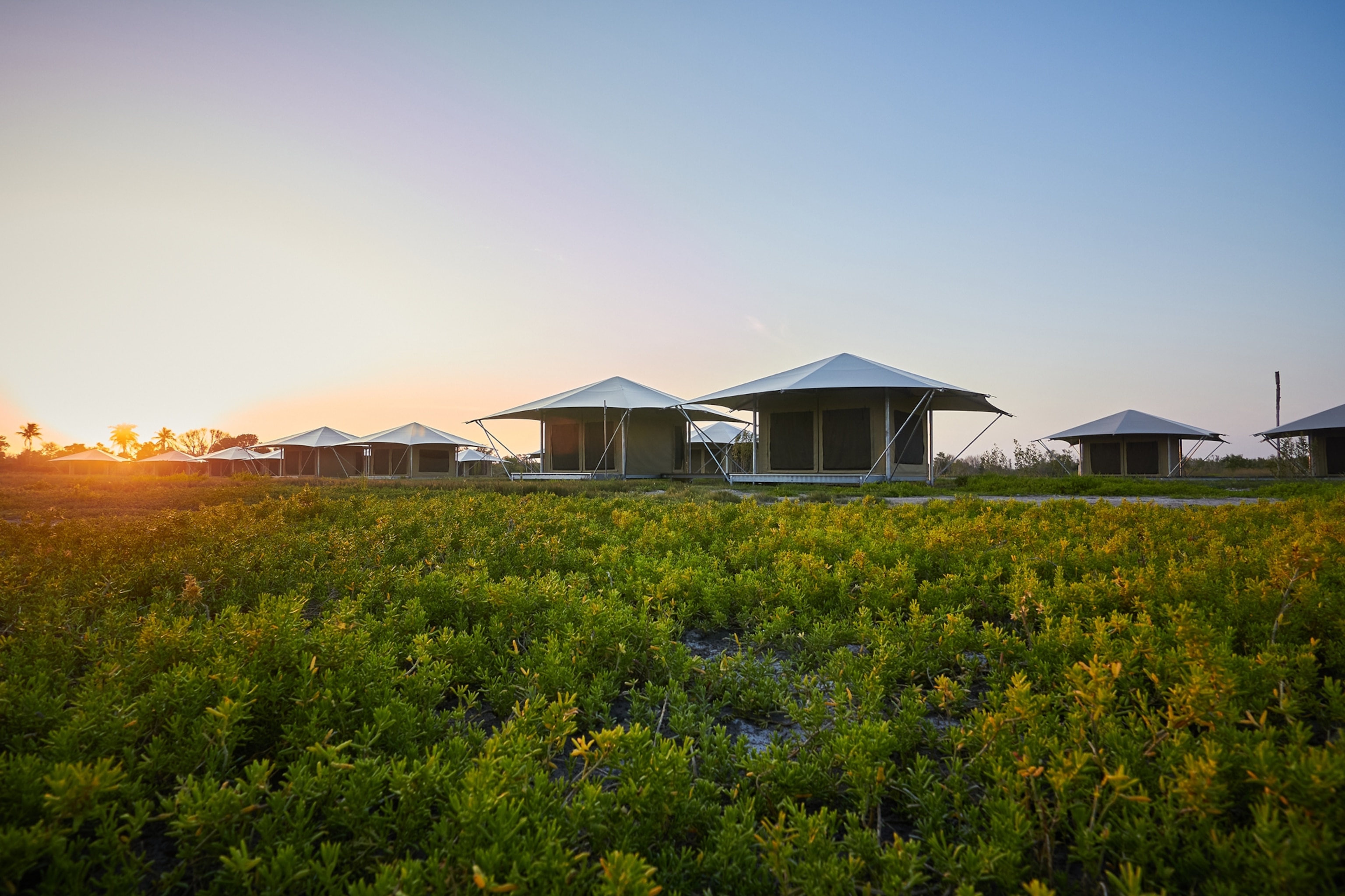 Small buildings stand amidst tall grass against a blue sky