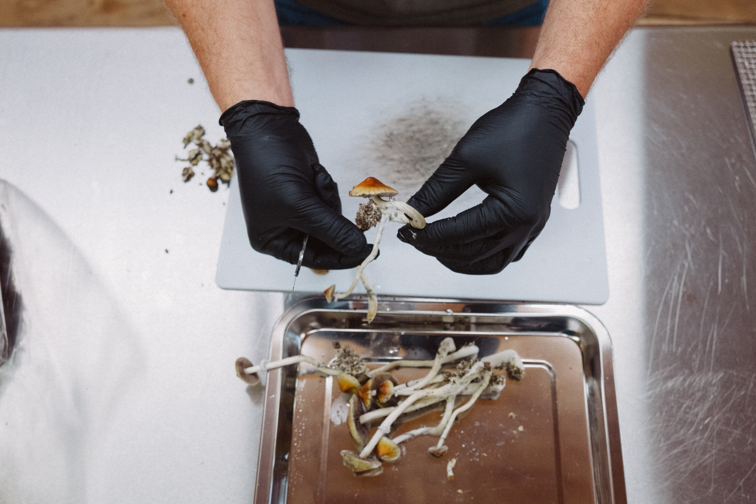 Hands in black gloves handle mushrooms on a white cutting board. A metal tray with more mushrooms is nearby