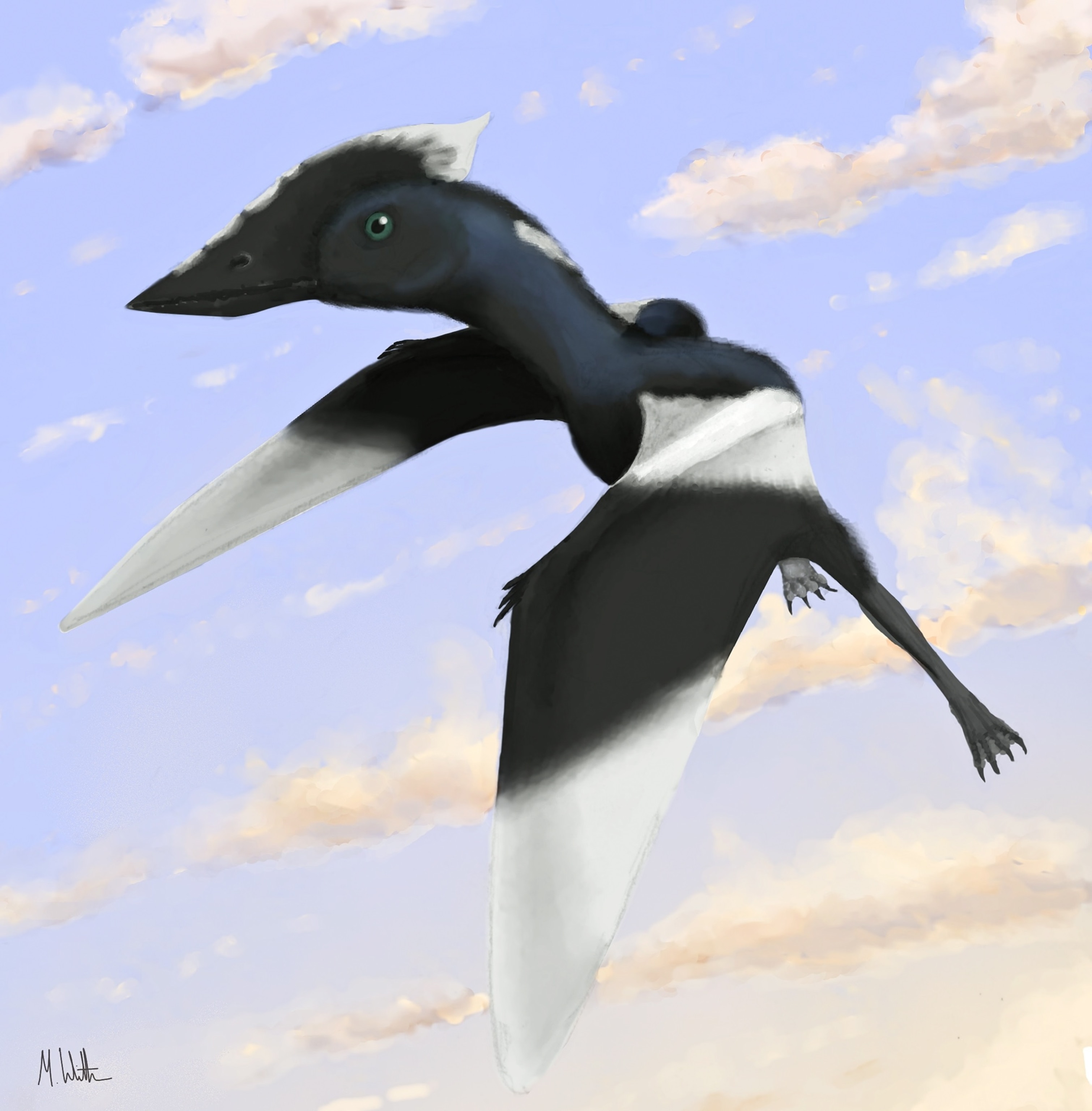 An illustration of a flying pterosaur.