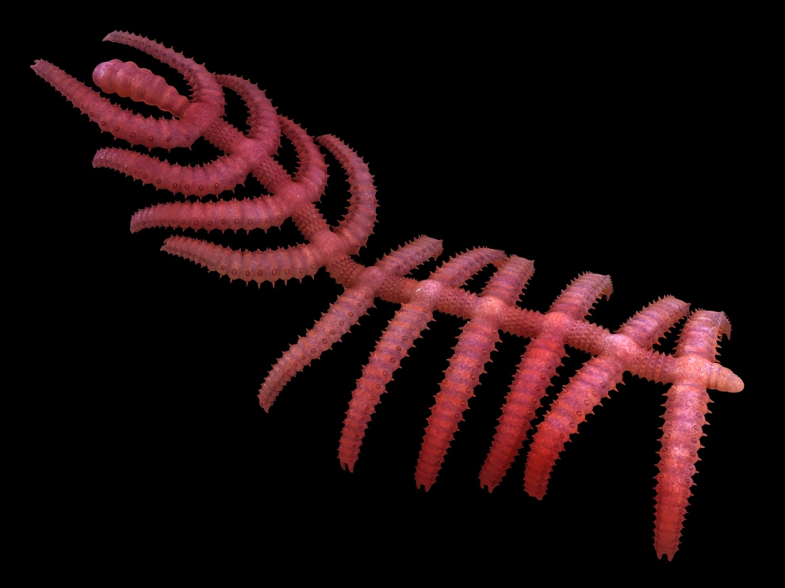 Wormlike Walking Cactus Fossil Found<script async src=
