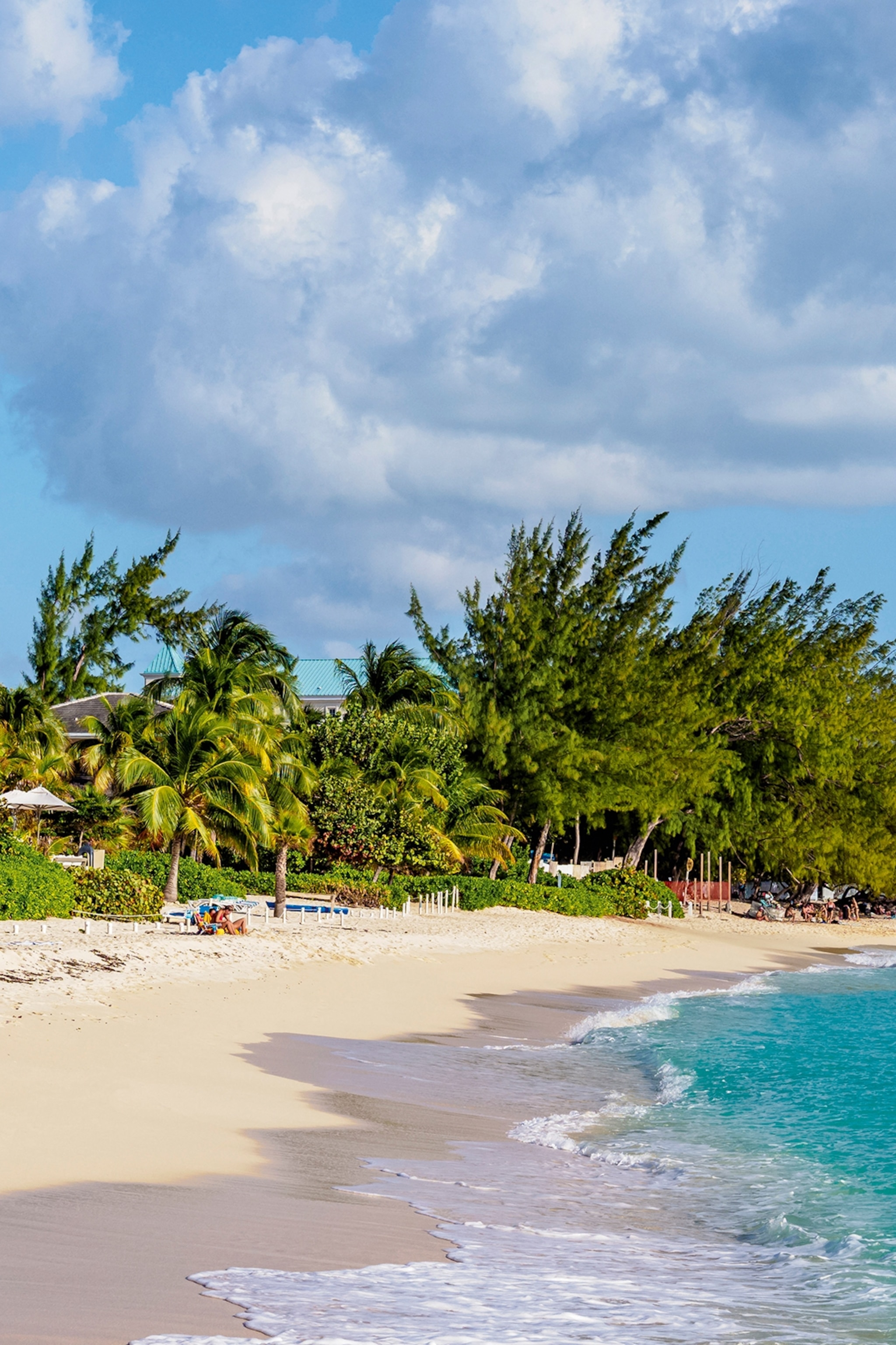 A paradisical beach stretch lined with palm trees.