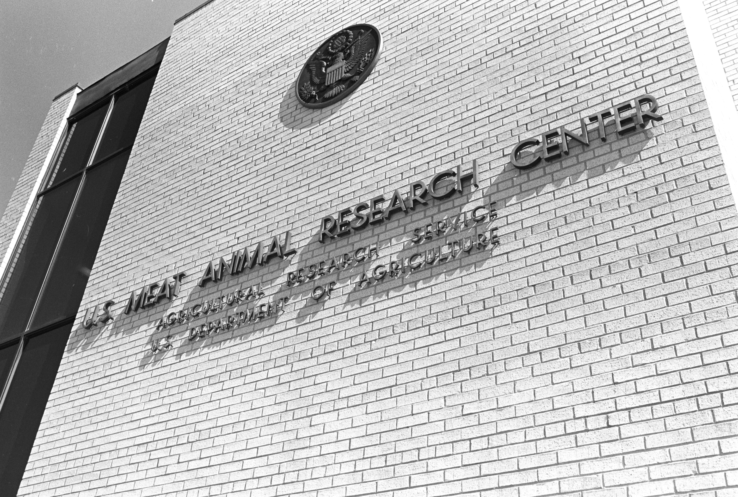 The U. S. Department of Agriculture Meat and Animal Research Center in Clay Center, Nebraska—seen here in 1976—has recently come under fire amid a New York Times investigative report. Photograph by USDA/NARA