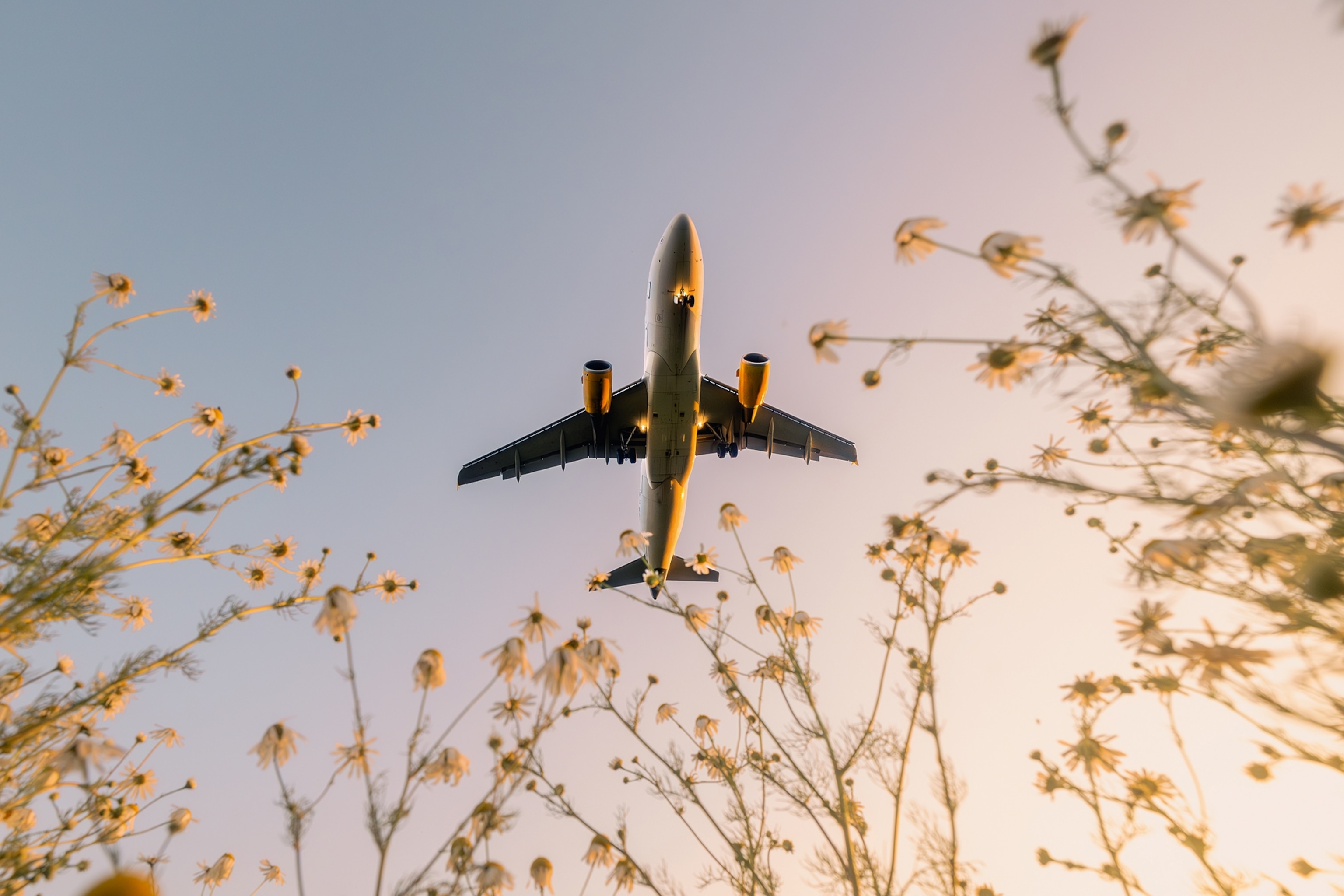 A plane shot from below as it takes off.