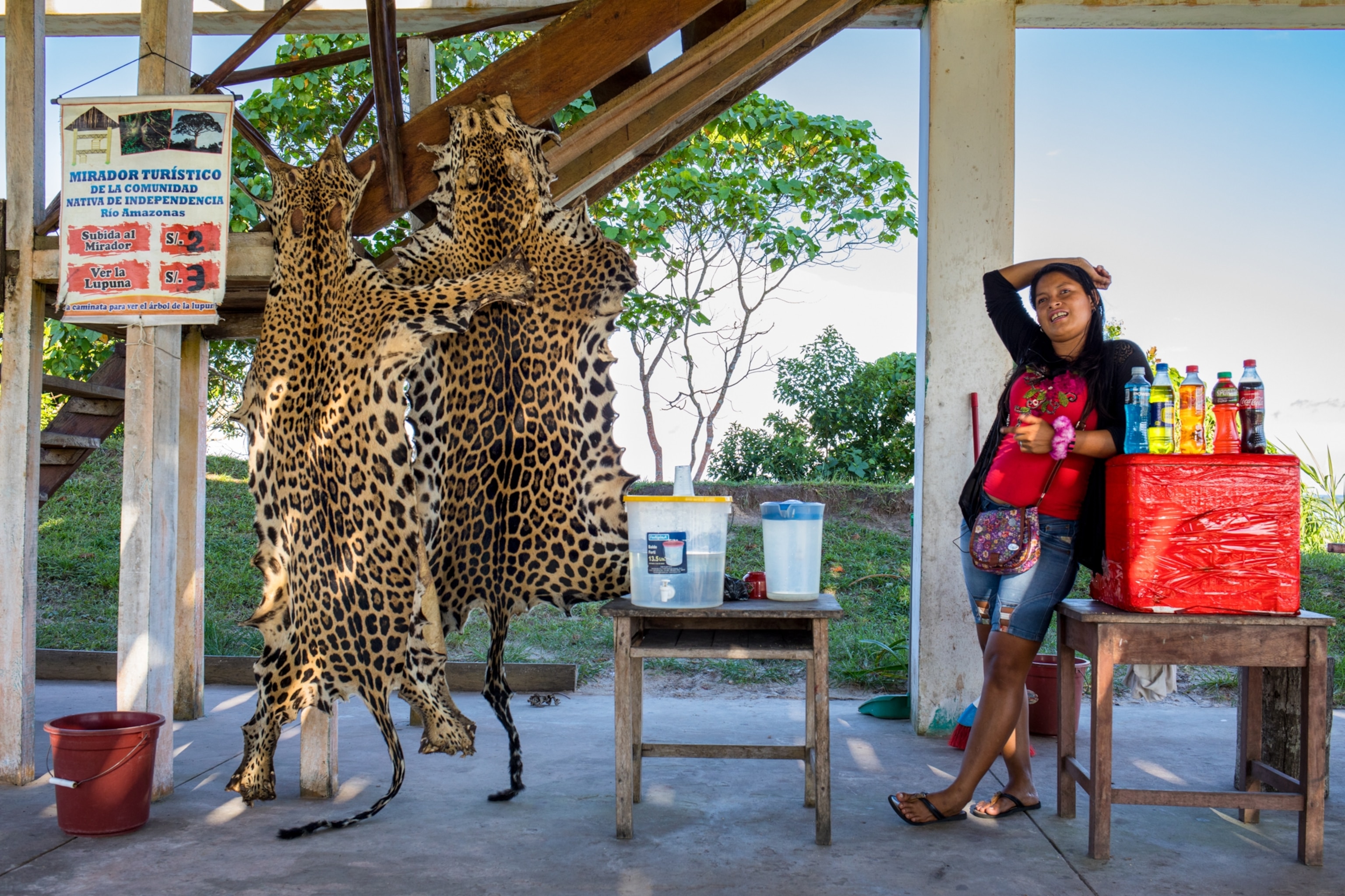 A vendor sells jaguar skins at a tourist destination outside Iquitos, Peru. Jaguars are an internationally protected species, but demand for their skins and canine teeth has increased in recent years, putting the cats back in the crosshairs.