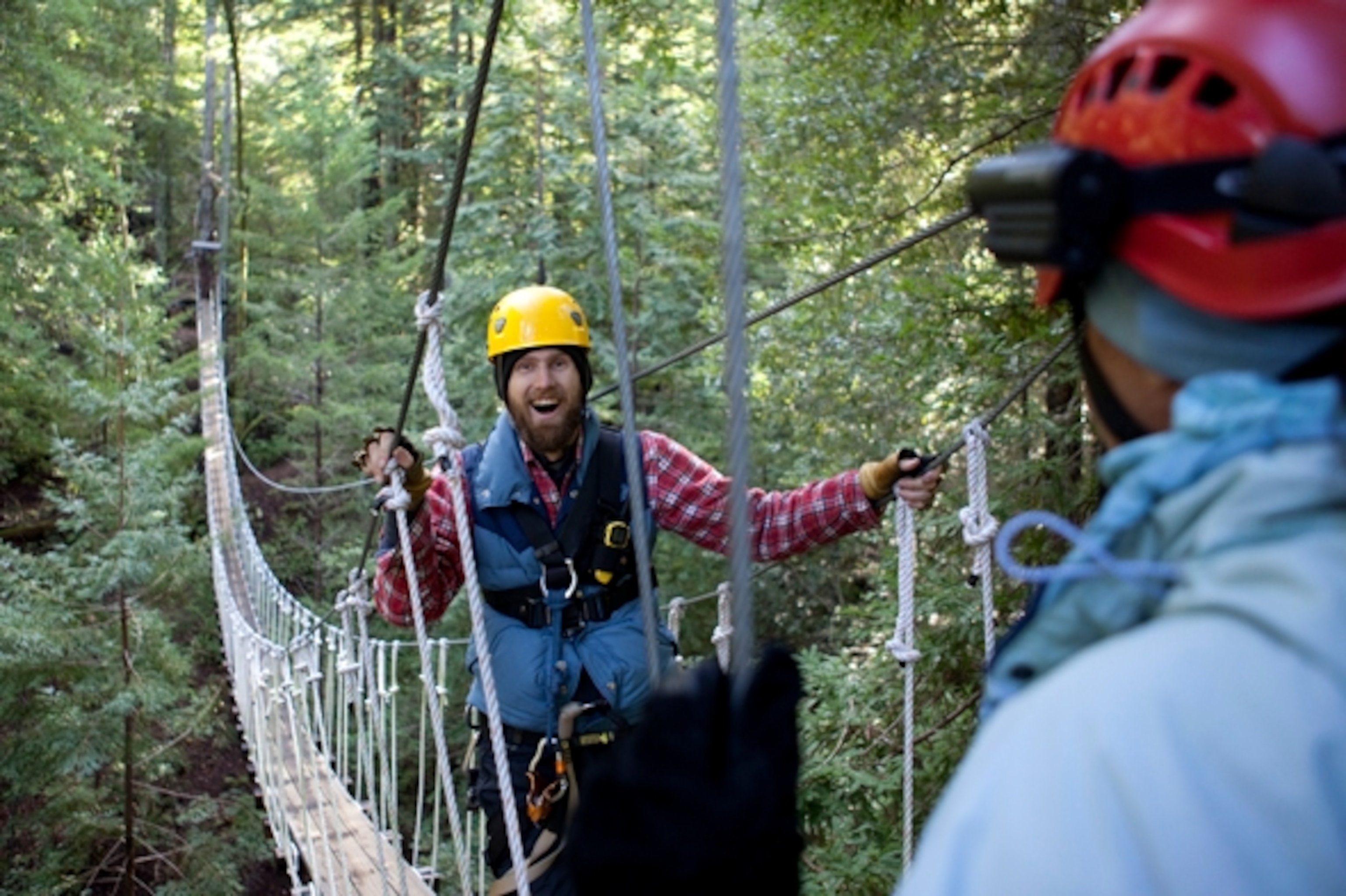 See a different side of Sonoma from a zip line.  (Photograph by Shannon Switzer)