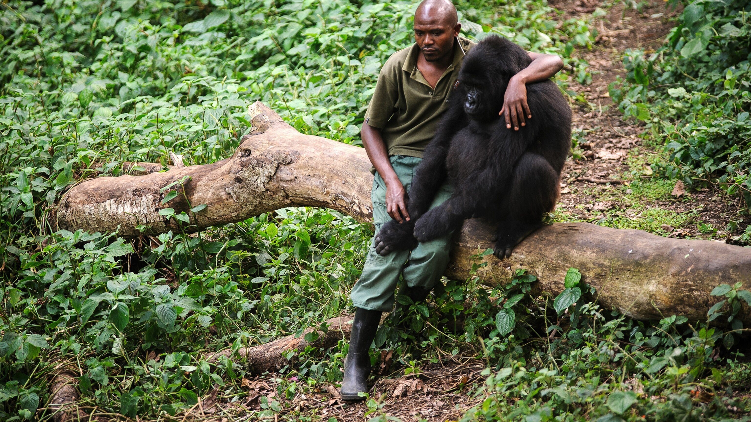 For Rangers on the Front Lines of Anti-Poaching Wars, Daily Trauma