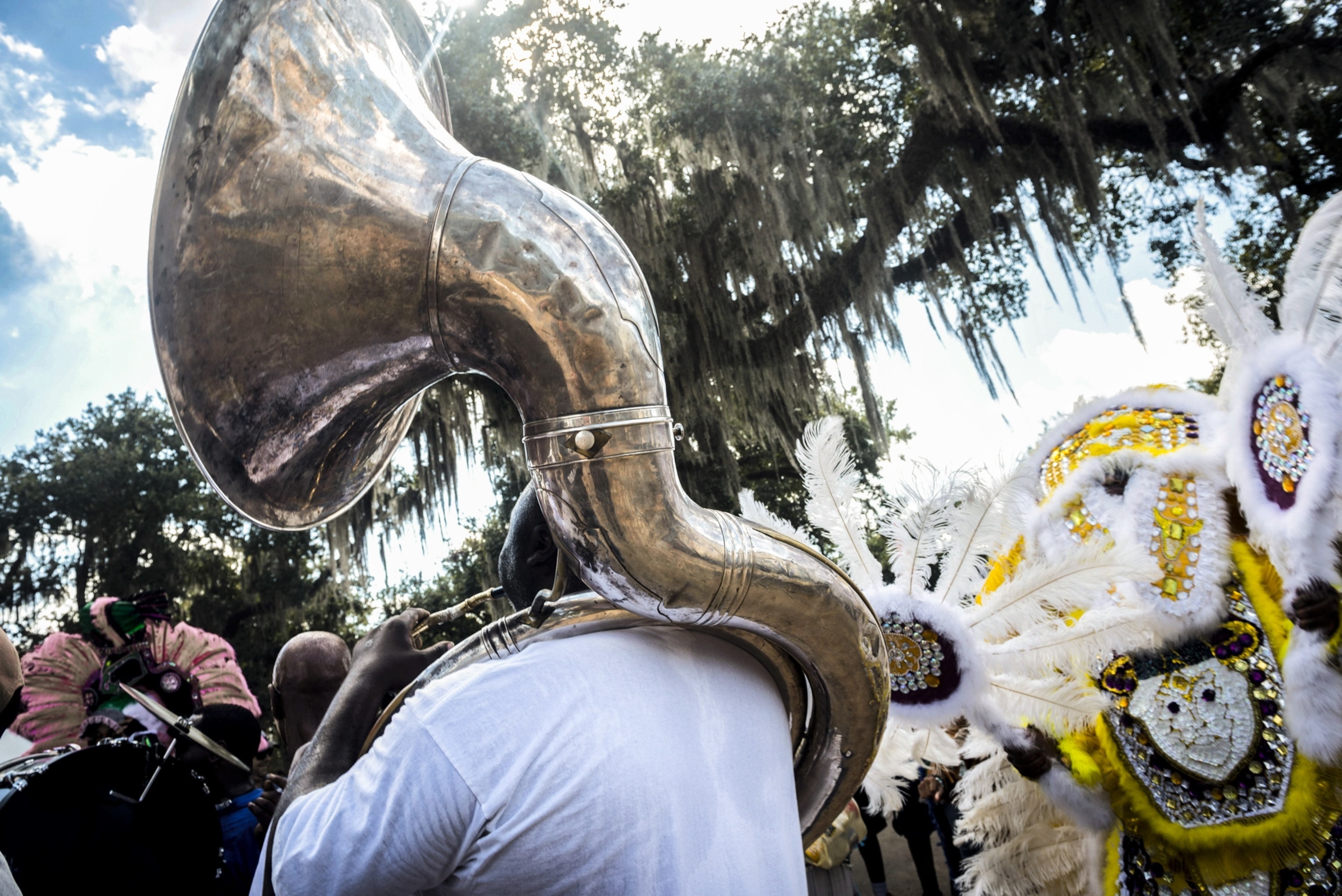 A musician plays a large brass sousaphone in a vibrant outdoor parade. Beside him, a person wears a colorful, feathered costume under draping trees.