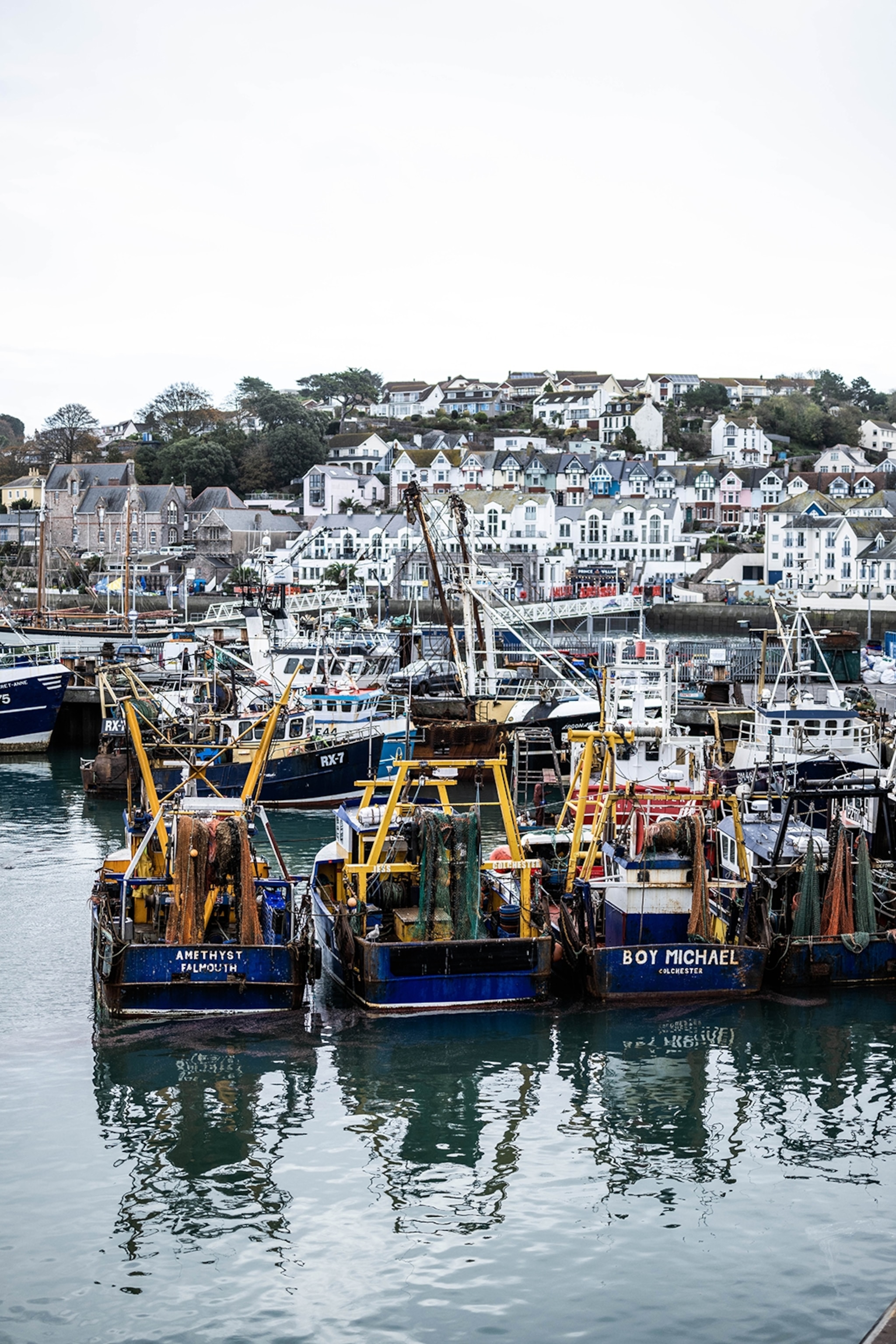 A harbor with fishing boats.