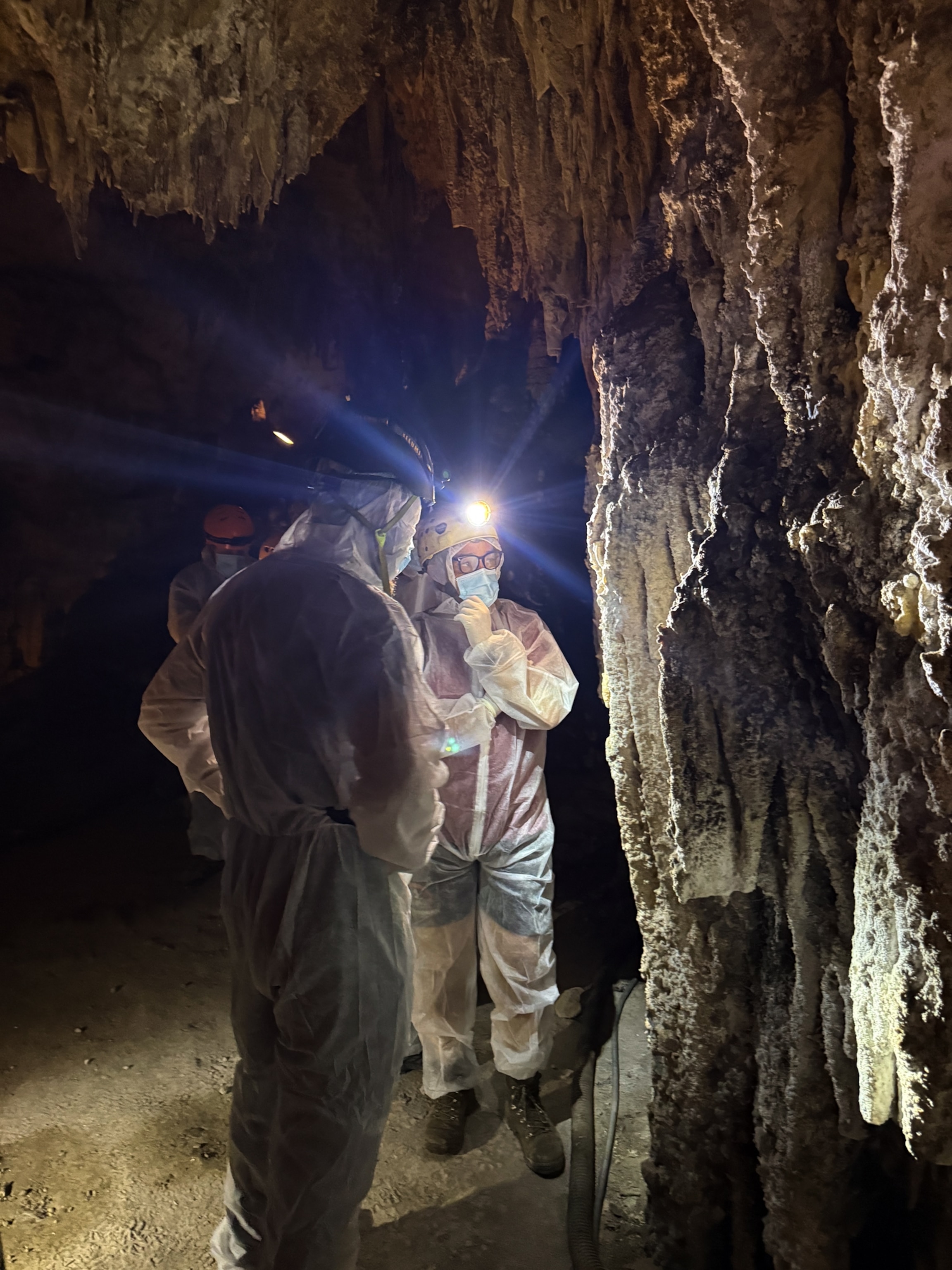 People in protective suits and helmets with headlamps examine cave walls lined with stalactites