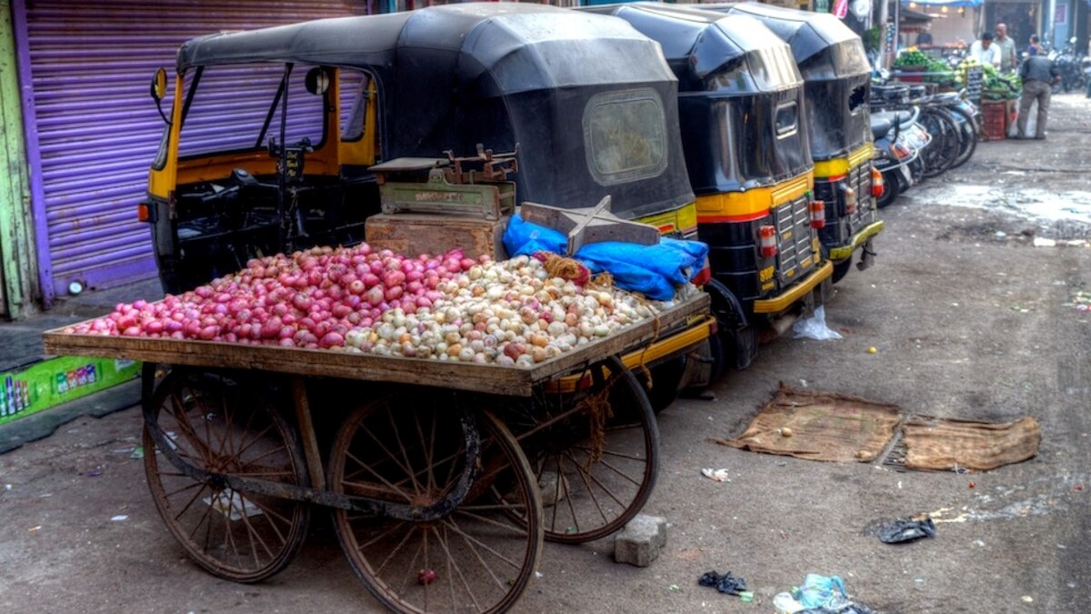 How India’s Onions Explain the Developing World