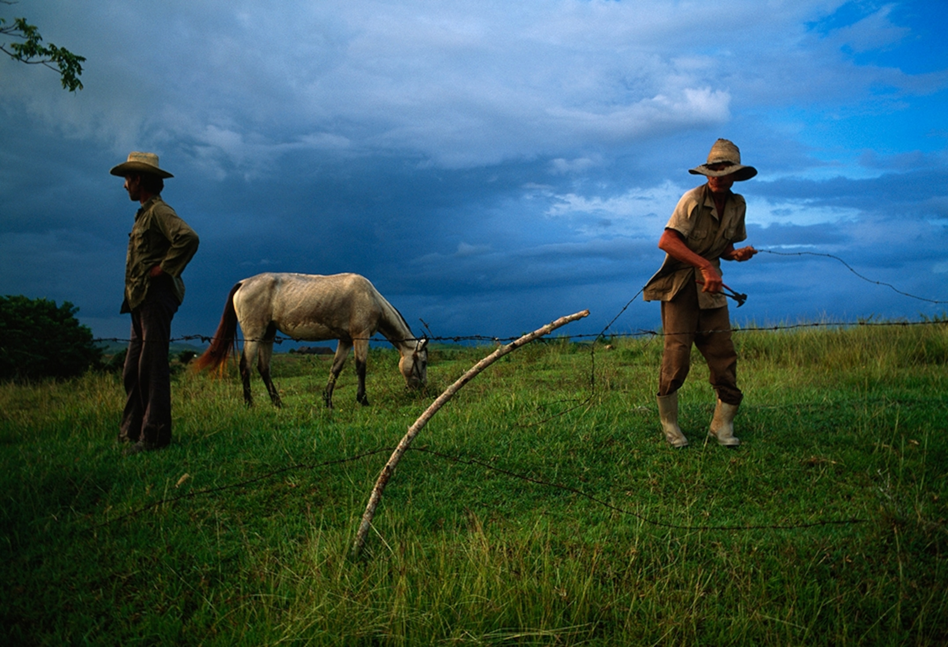farmers in a field