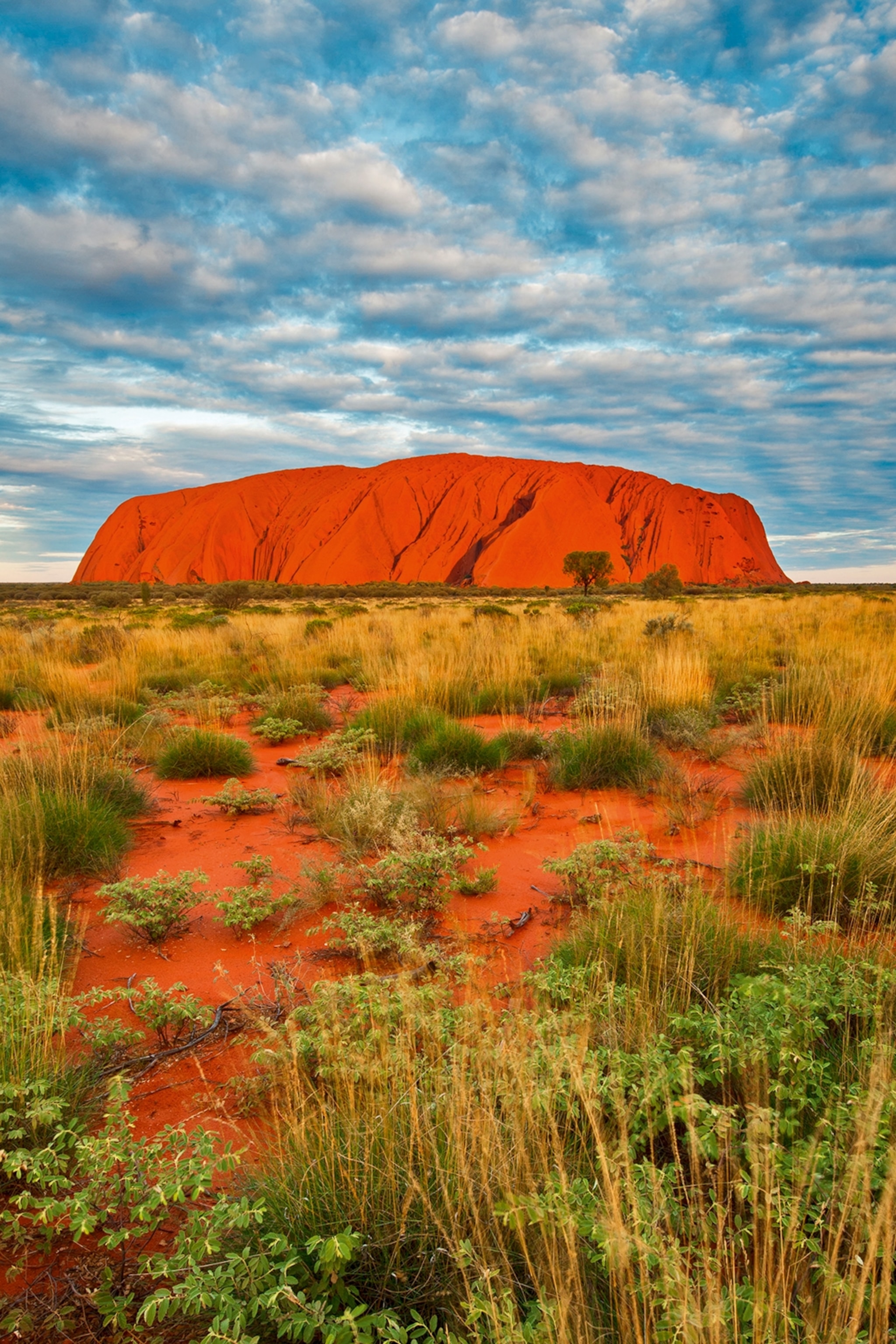 A wide and low, free-standing rock in the arid bushlands of Australia.