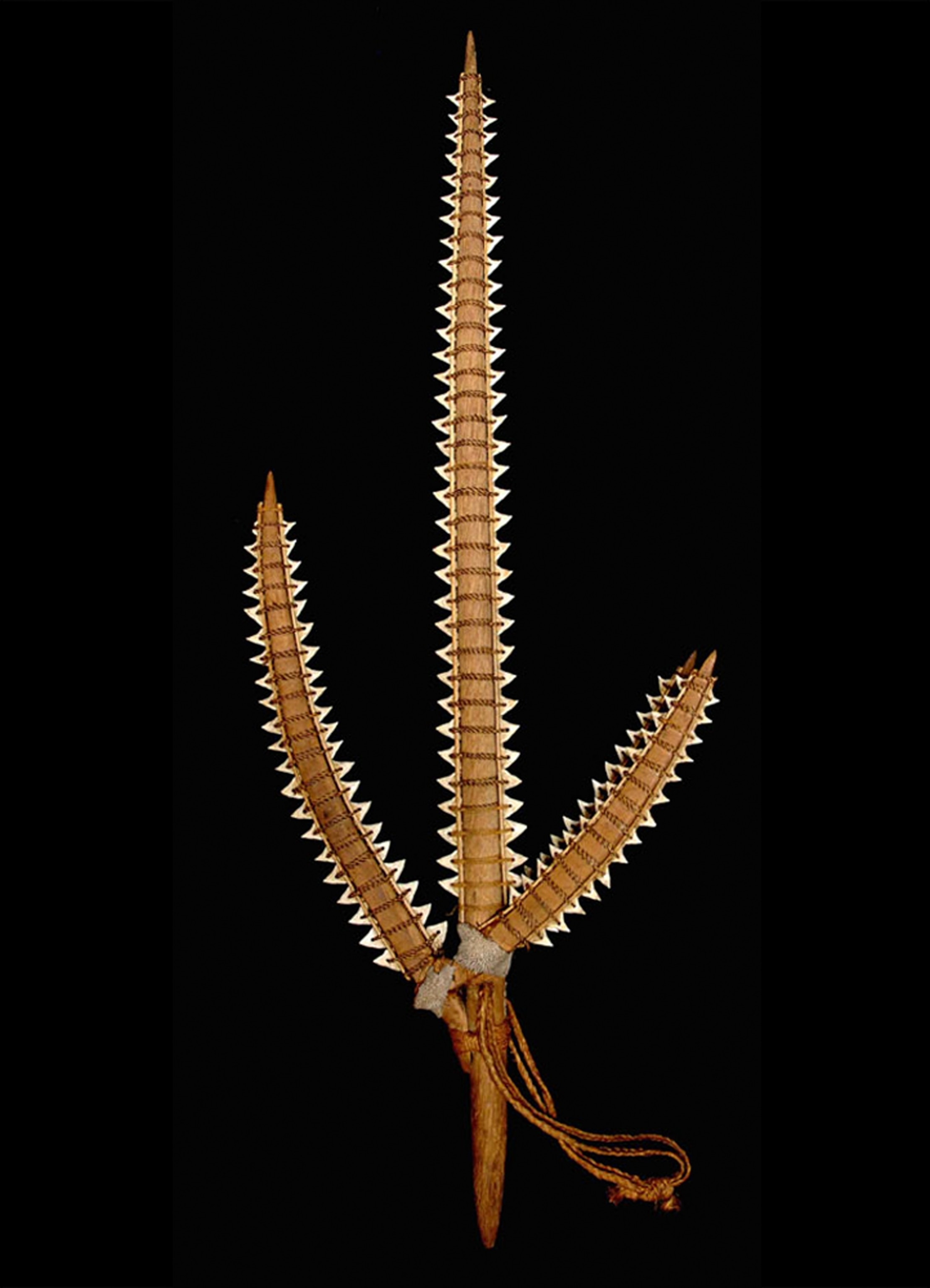 A shark tooth weapon.